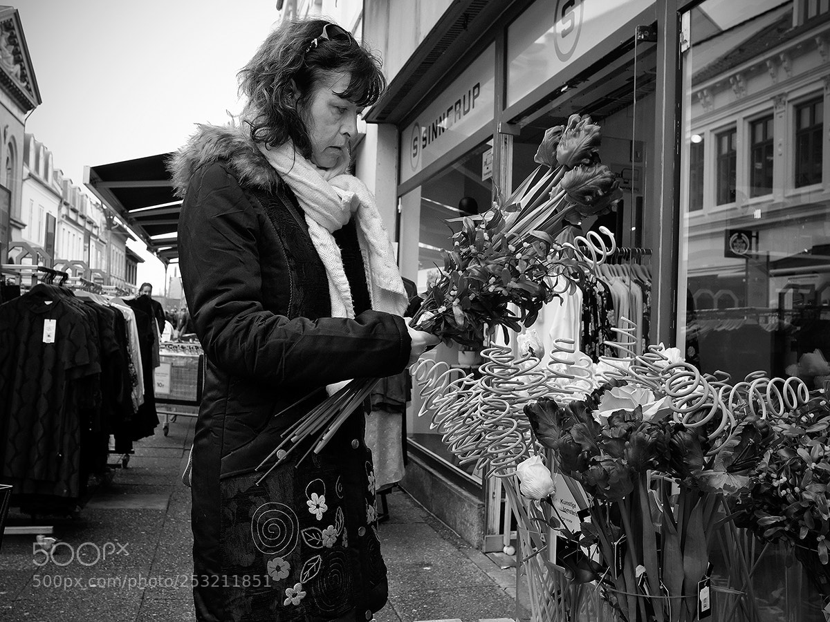 Fujifilm X-Pro2 sample photo. Composes the decoration photography