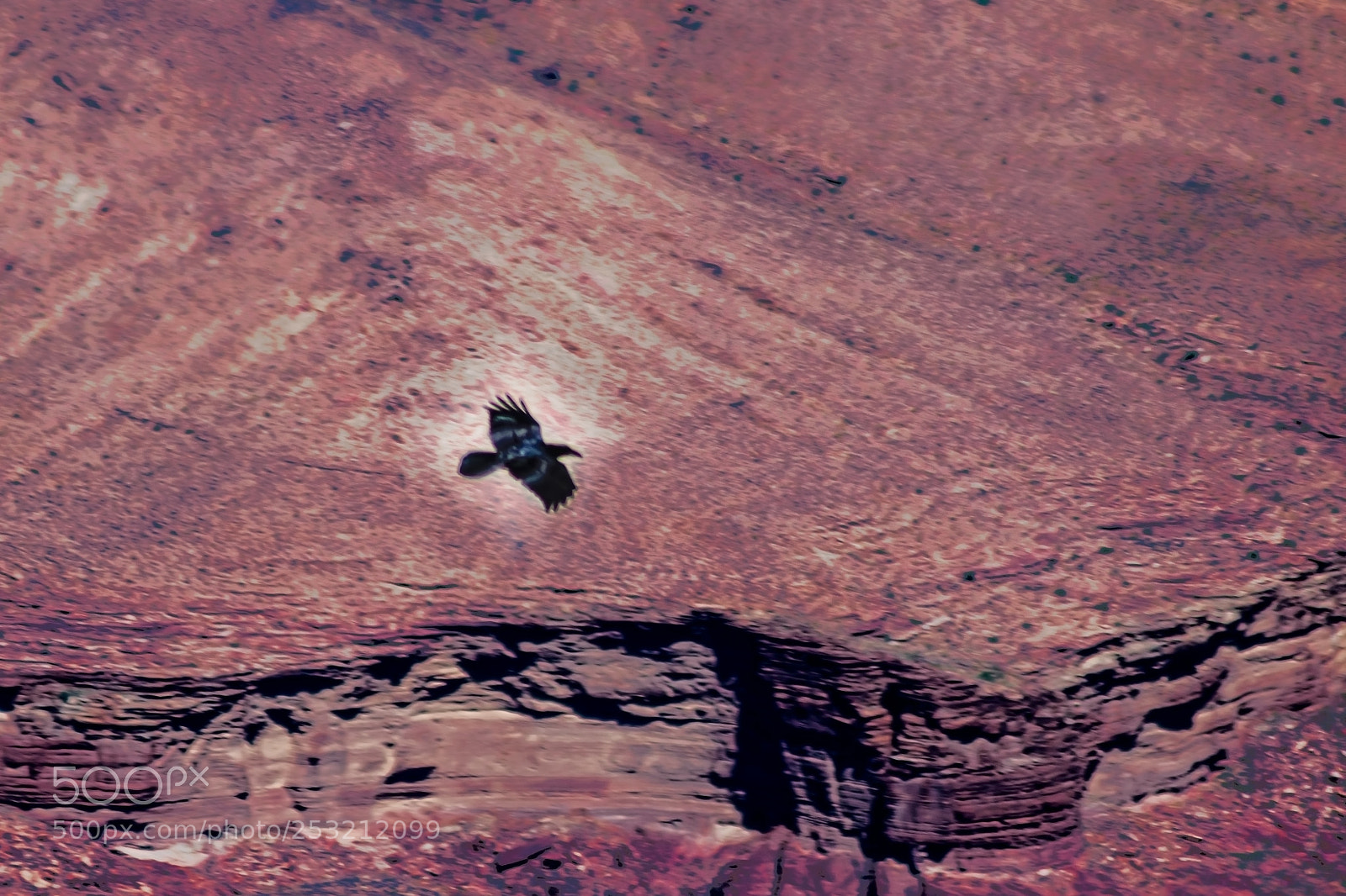 Nikon D5300 sample photo. Far away flight photography