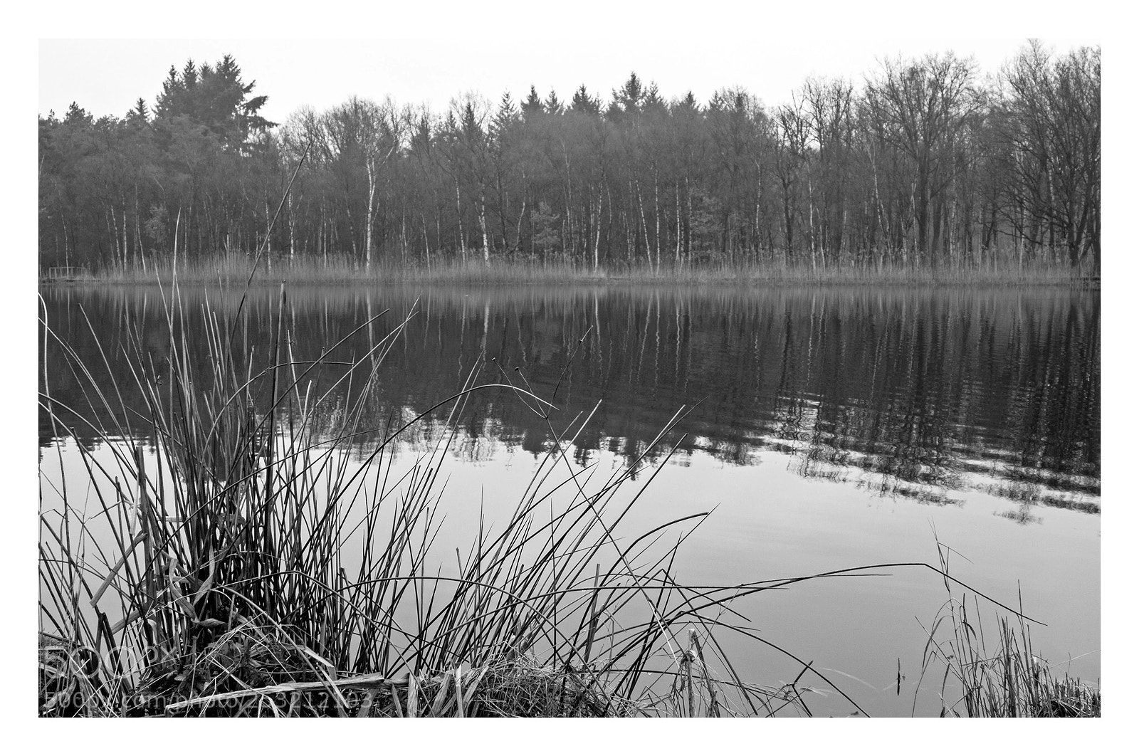 Olympus OM-D E-M5 sample photo. Mirror lake photography