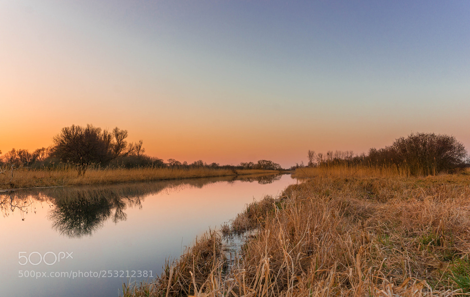 Sony a6000 sample photo. Dsc photography