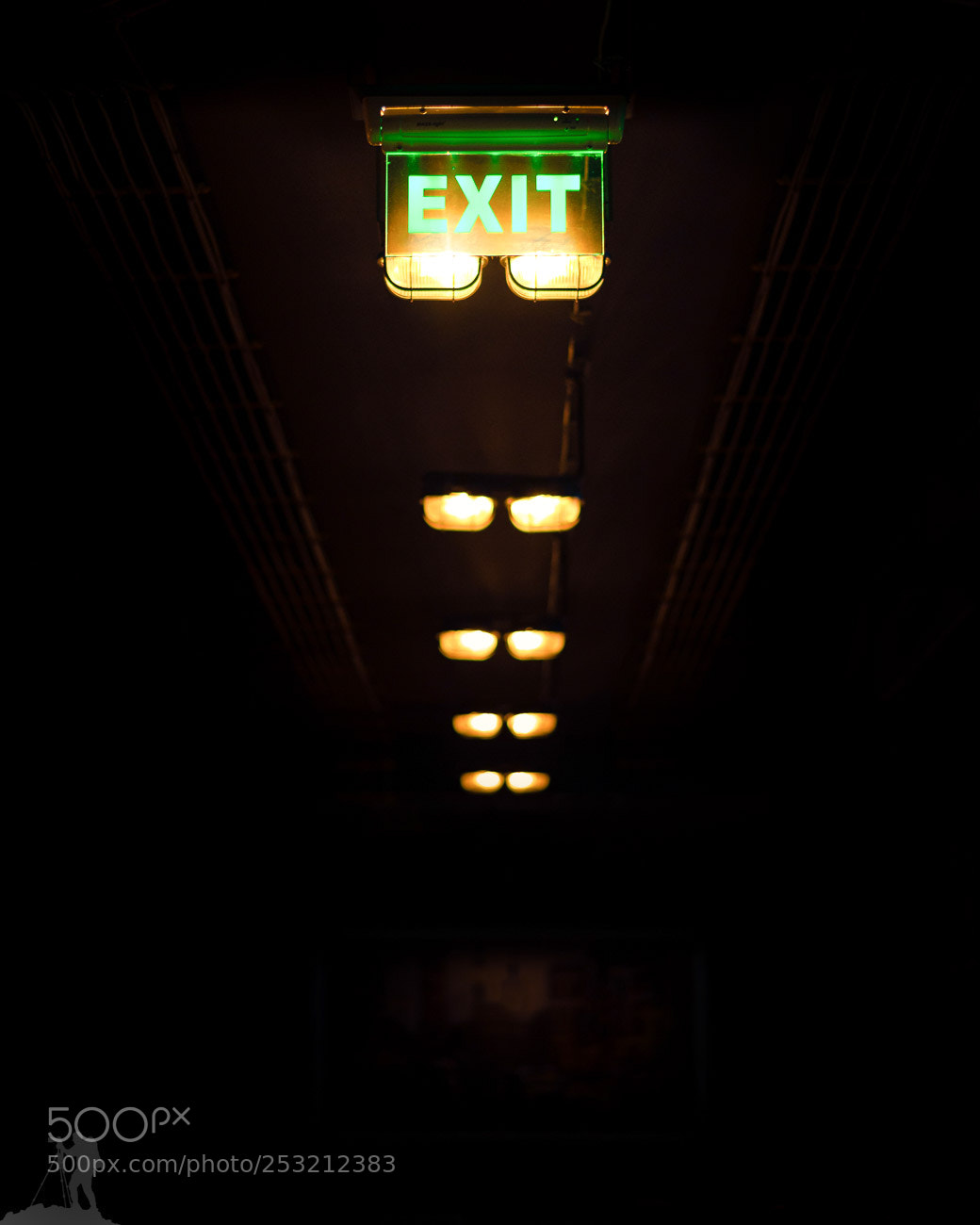 Nikon D610 sample photo. Exit photography