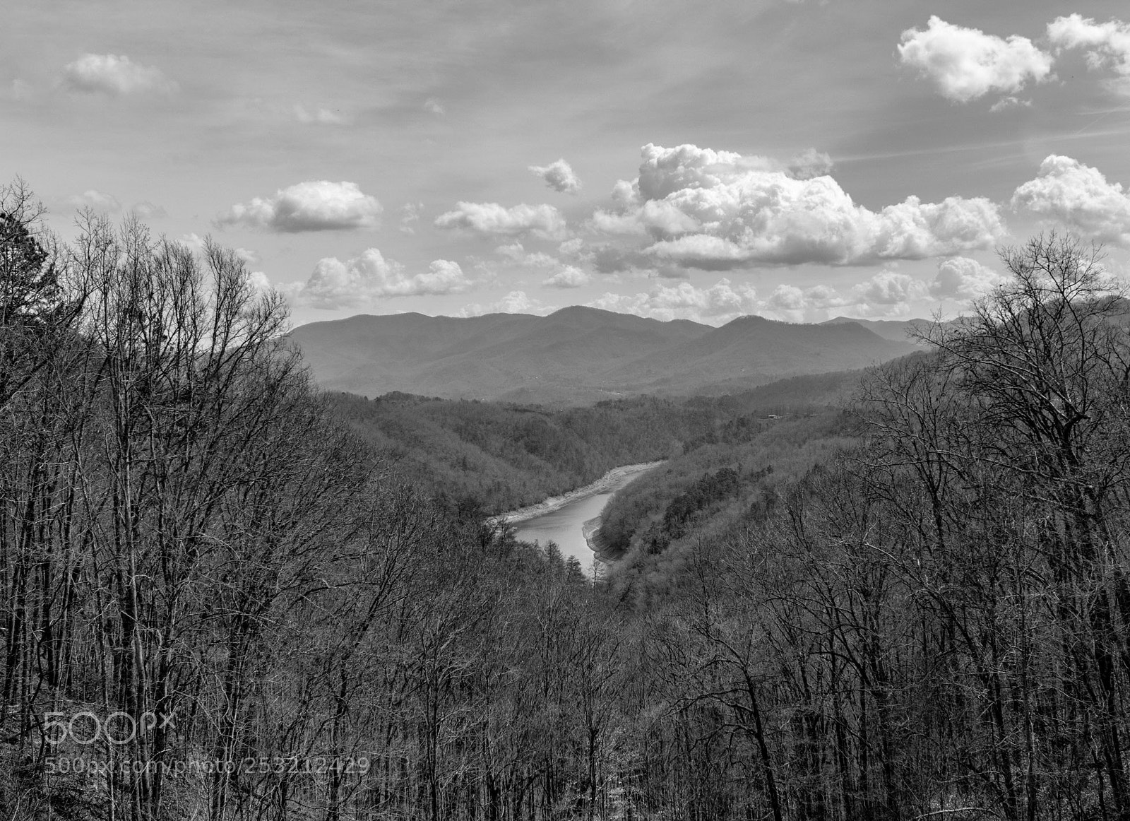 Nikon D5500 sample photo. Road to nowhere #bw photography