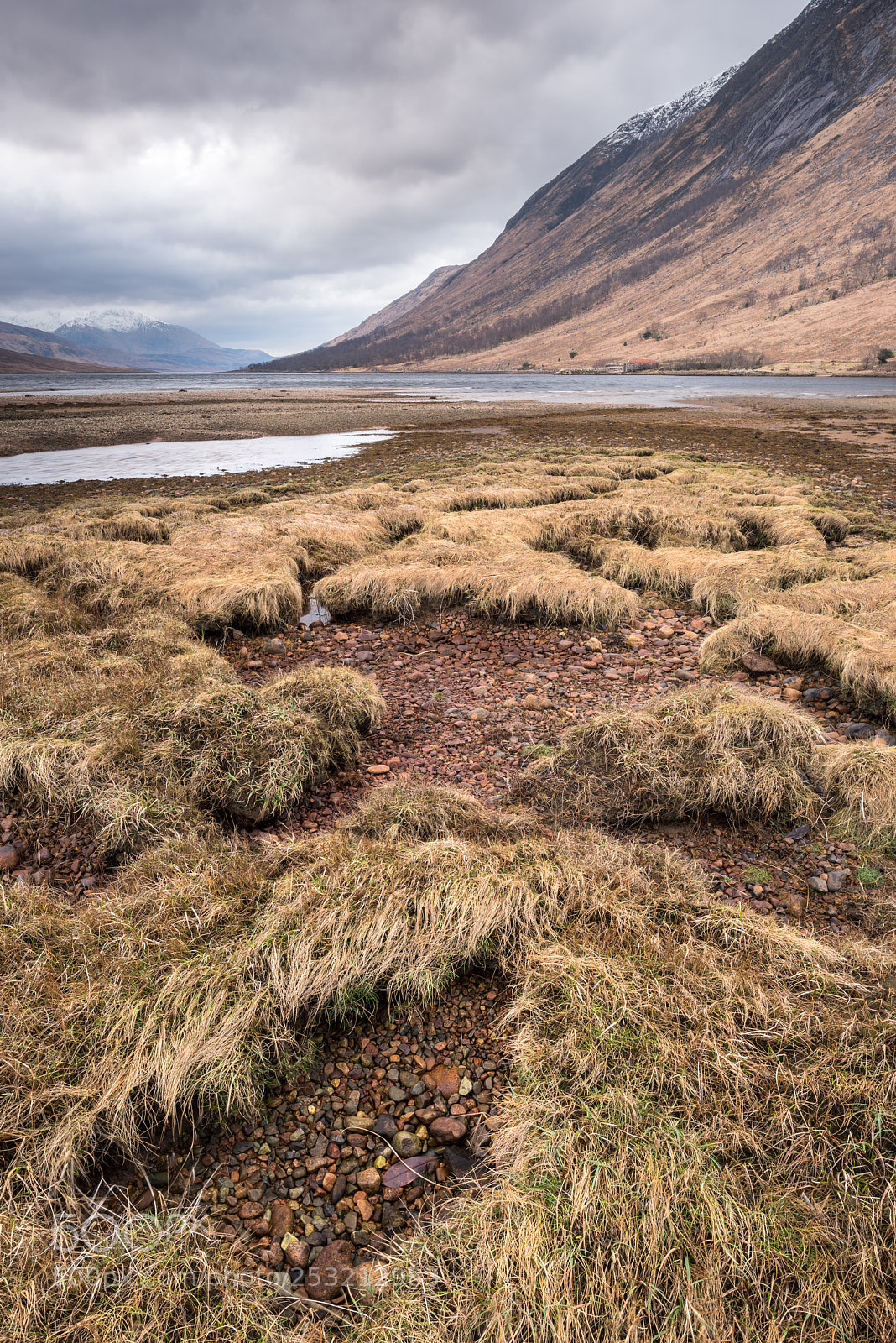 Nikon D810 sample photo. Loch etive marshes #1 photography