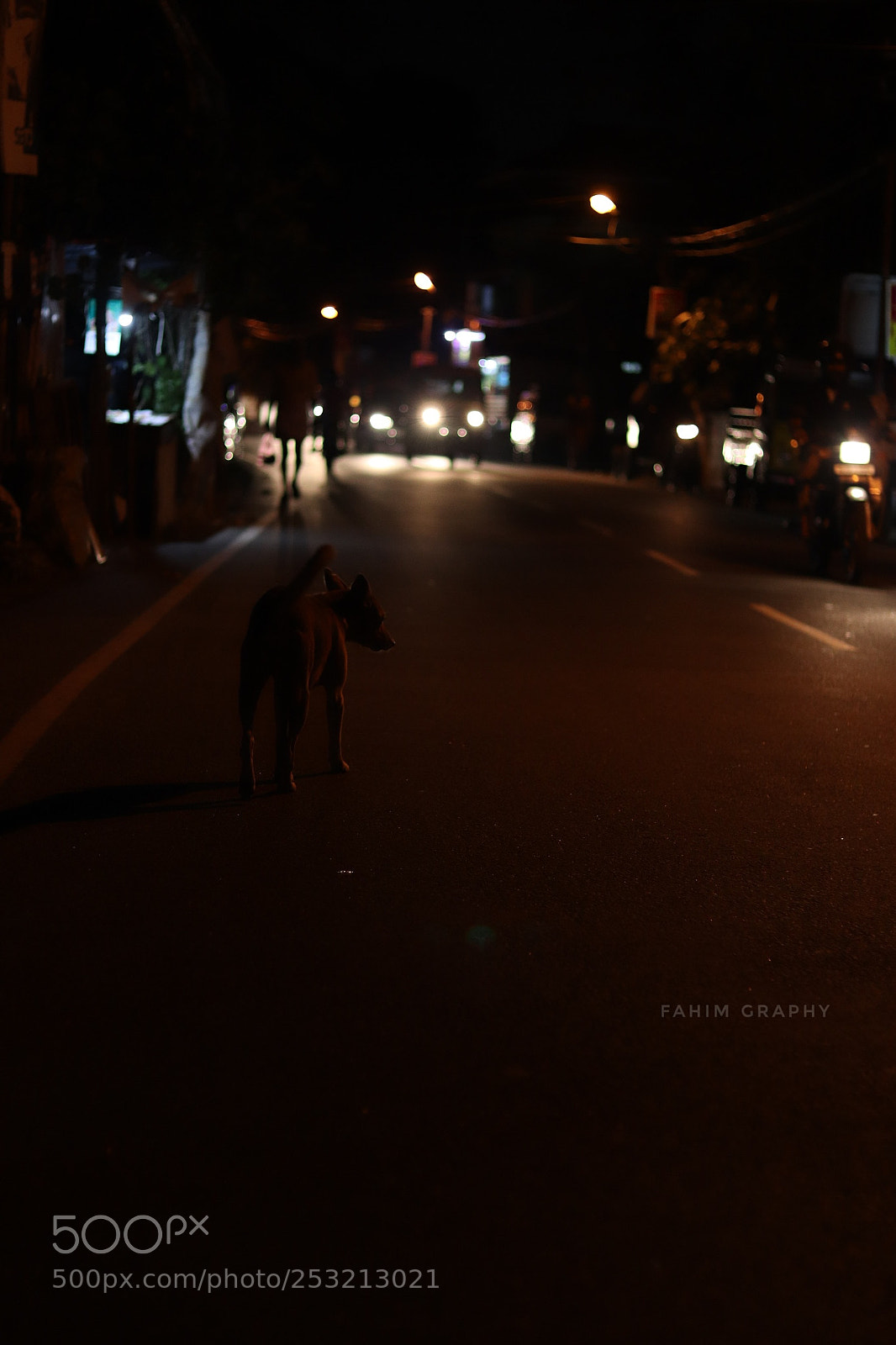 Canon EOS 77D (EOS 9000D / EOS 770D) sample photo. Untitled photography