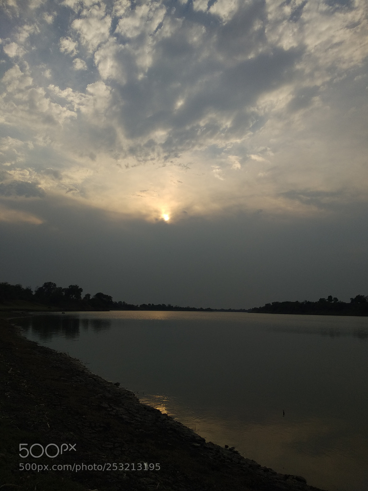 Xiaomi Mi A1 sample photo. Untitled photography