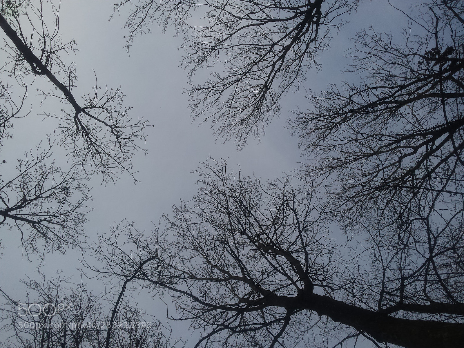 Samsung Galaxy S4 sample photo. Untitled photography