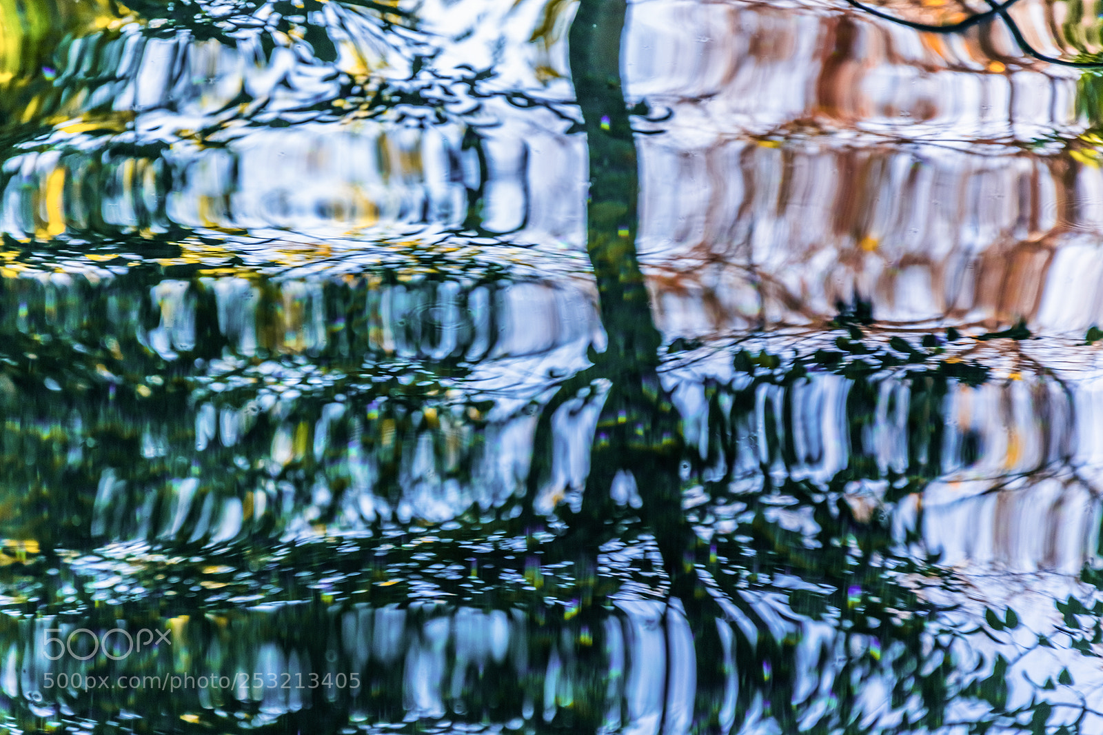 Nikon D5300 sample photo. Liquid tree ode to photography