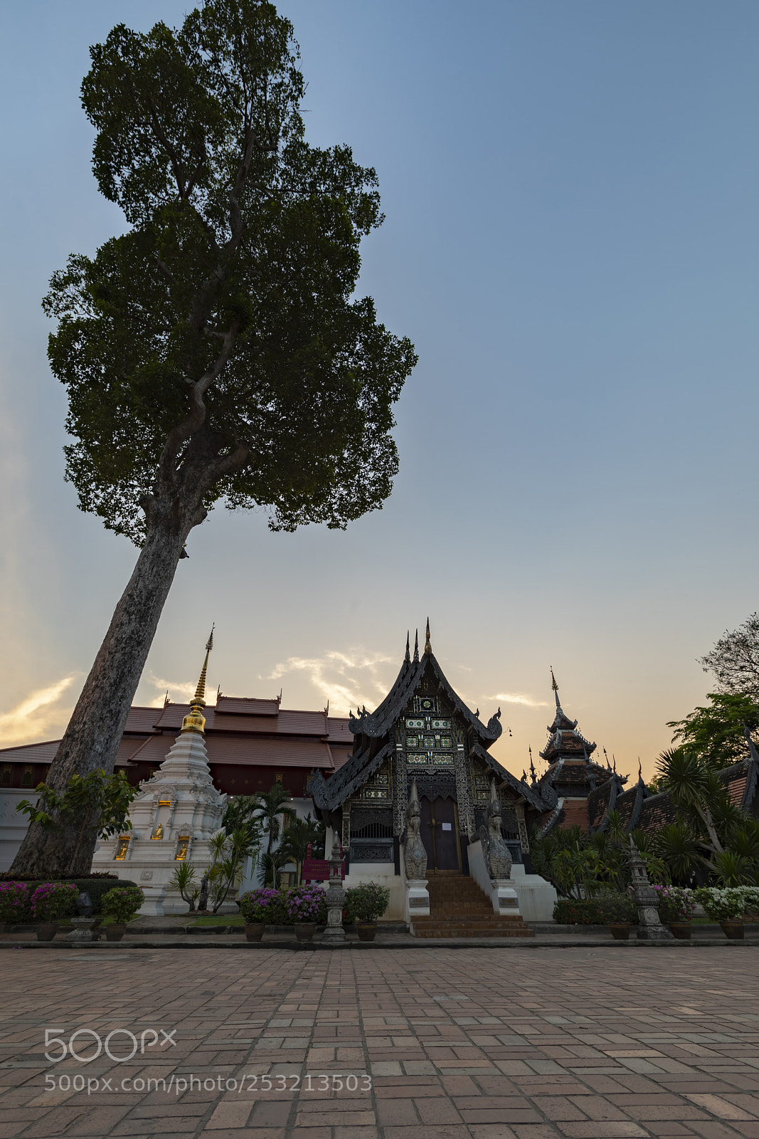 Canon EOS 5D Mark IV sample photo. Wat chedi luang temple photography
