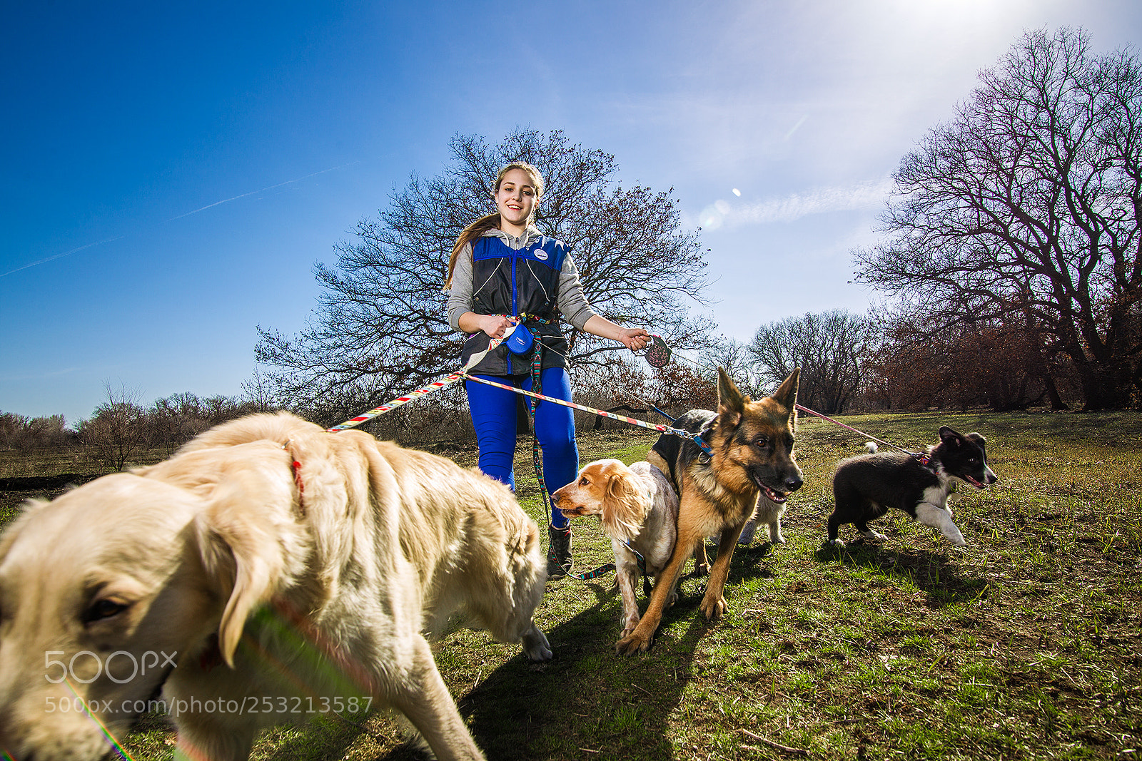 Canon EOS-1D Mark IV sample photo. Anastasia and dogs photography
