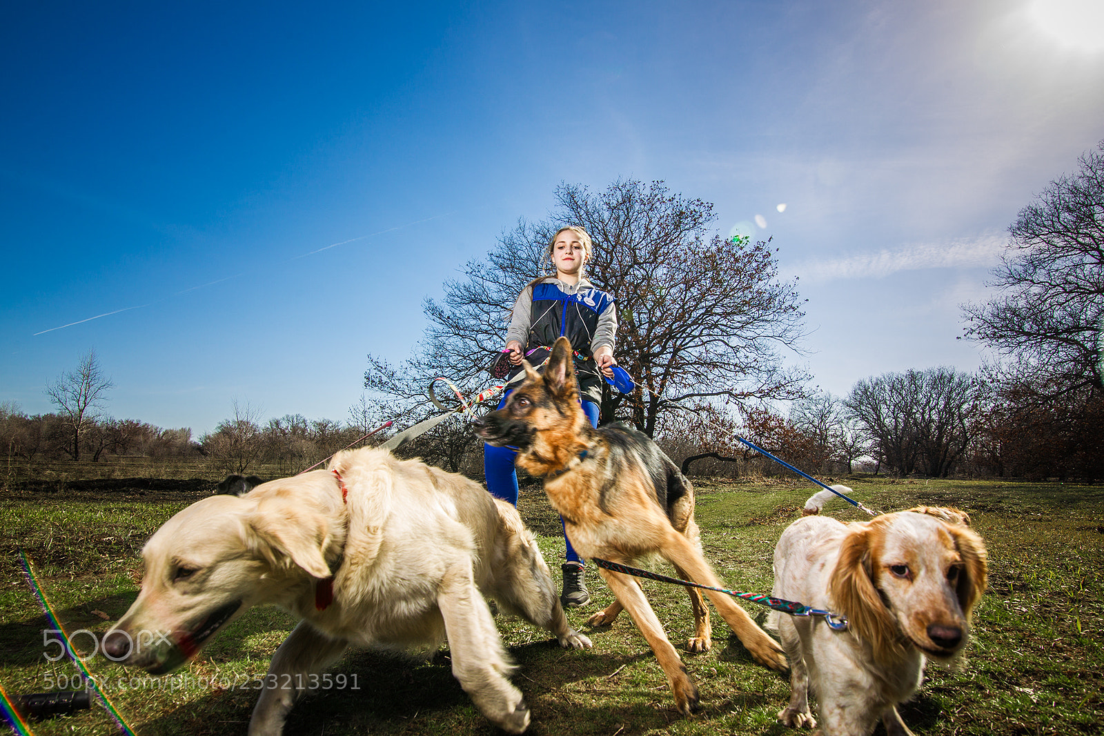 Canon EOS-1D Mark IV sample photo. Anastasia and dogs photography
