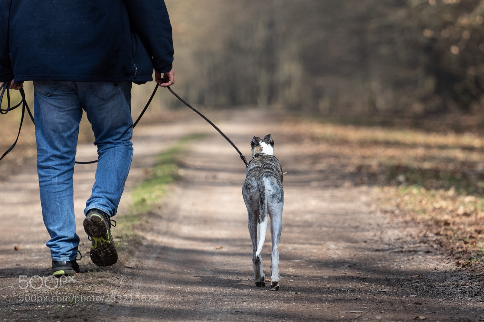 Canon EOS 7D Mark II sample photo. Walking  photography