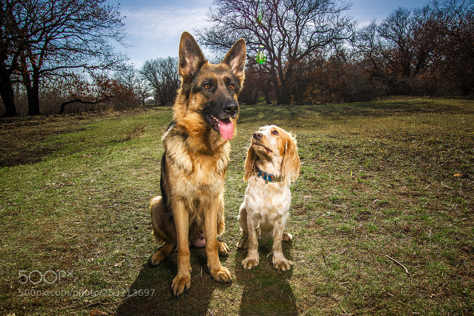 Canon EOS-1D Mark IV sample photo. Cita and kiara photography