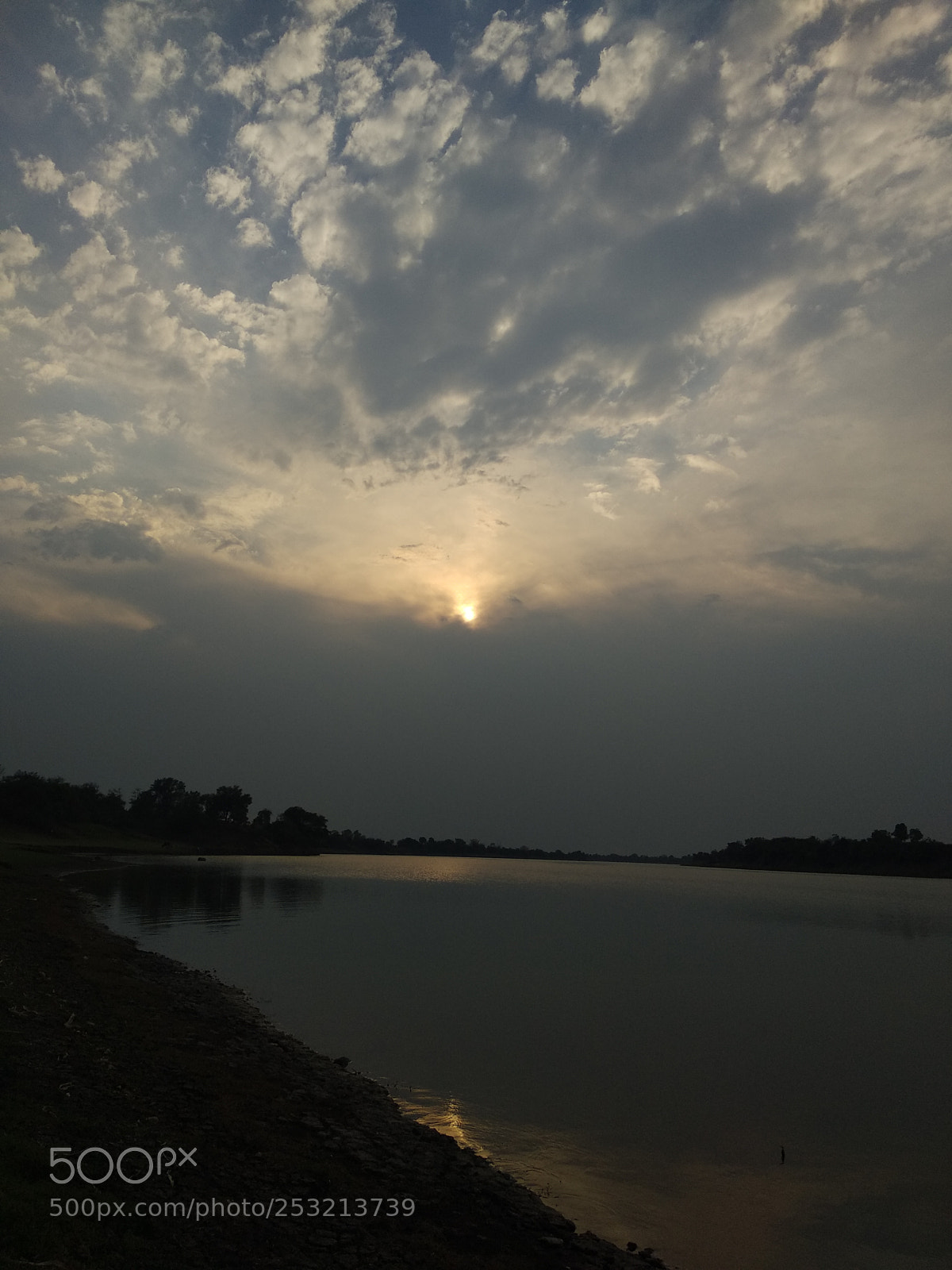 Xiaomi Mi A1 sample photo. Untitled photography