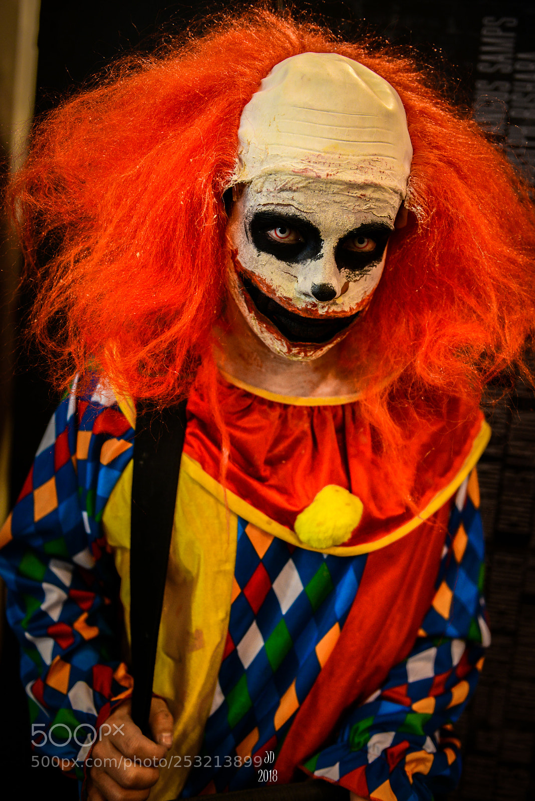 Nikon D800 sample photo. Clown photography