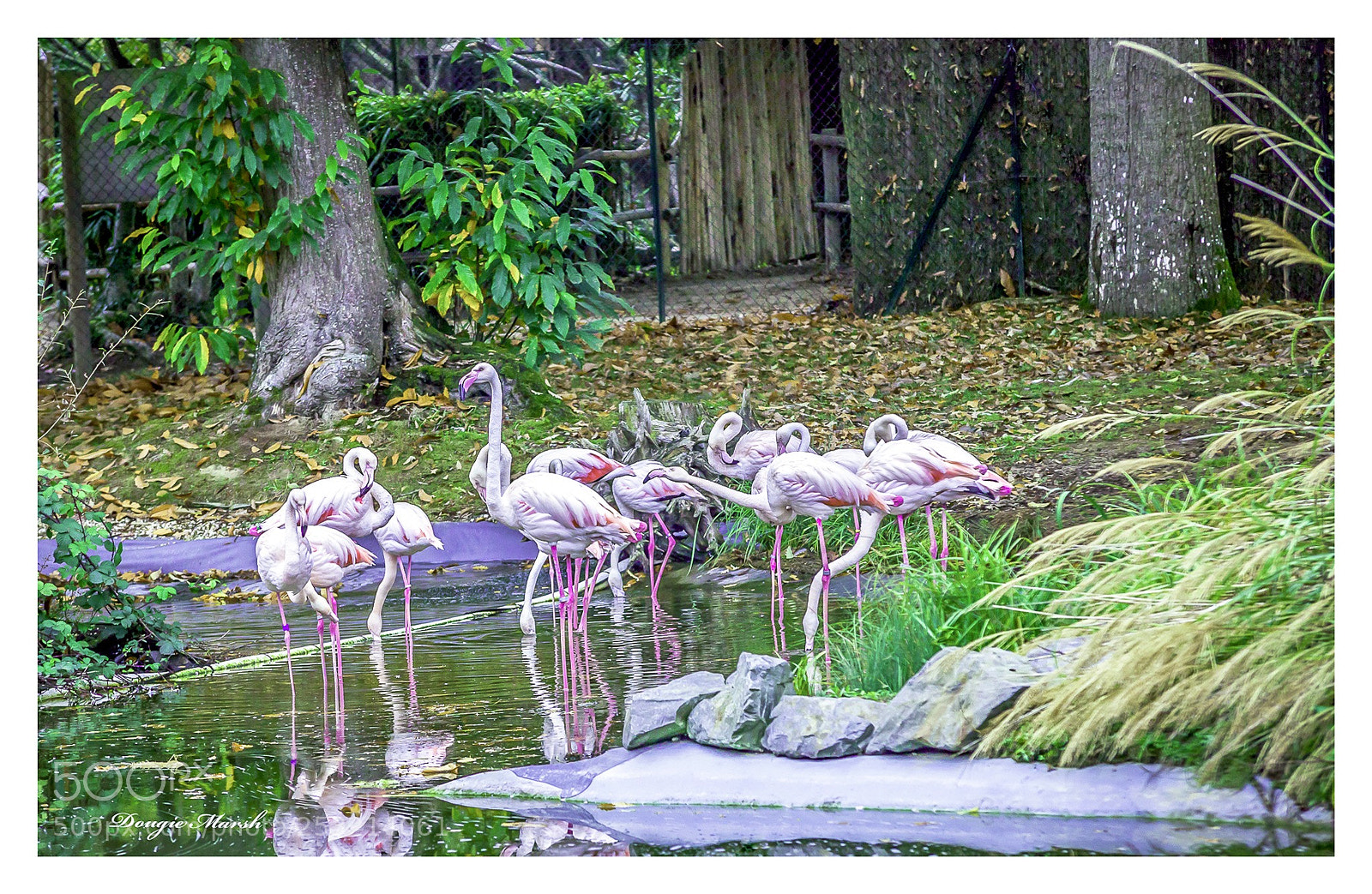 Canon EOS 5D Mark II sample photo. Untitled photography