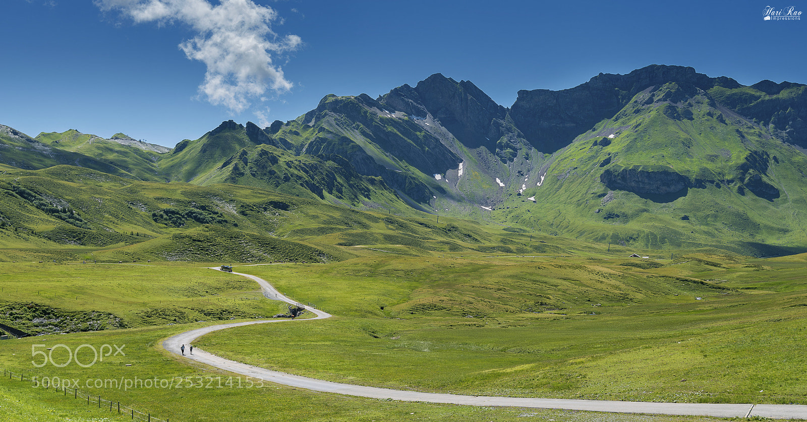 Nikon D810 sample photo. The path.. photography