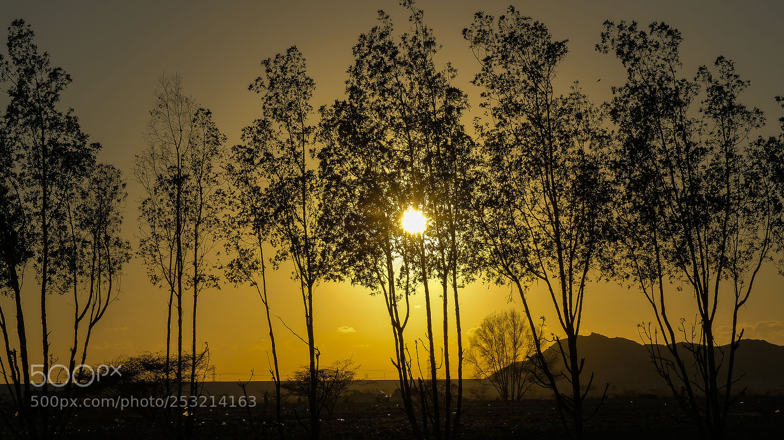 Fujifilm X-T2 sample photo. Sunset in the desert photography