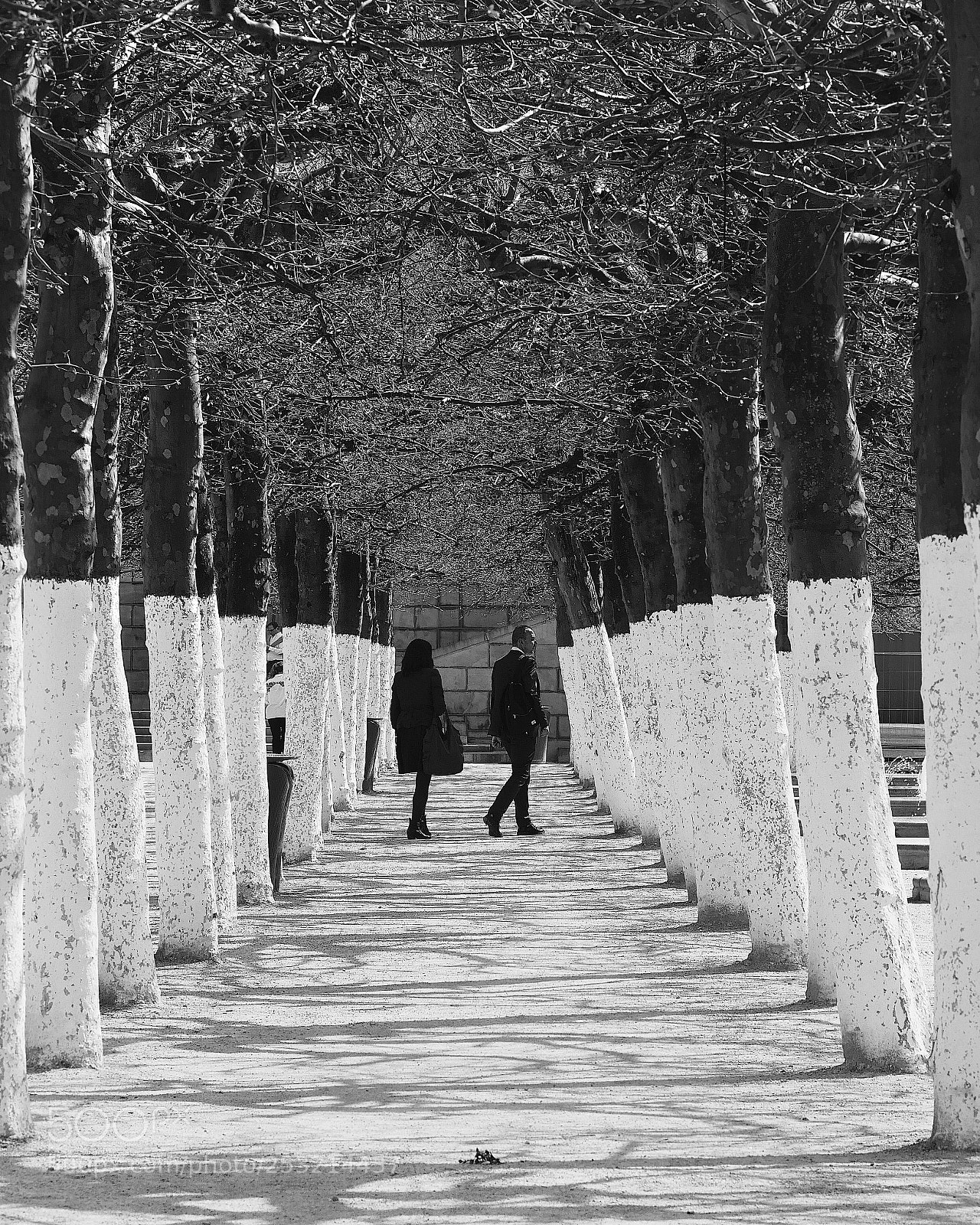 Panasonic Lumix DMC-GX8 sample photo. Street stories, brussels photography