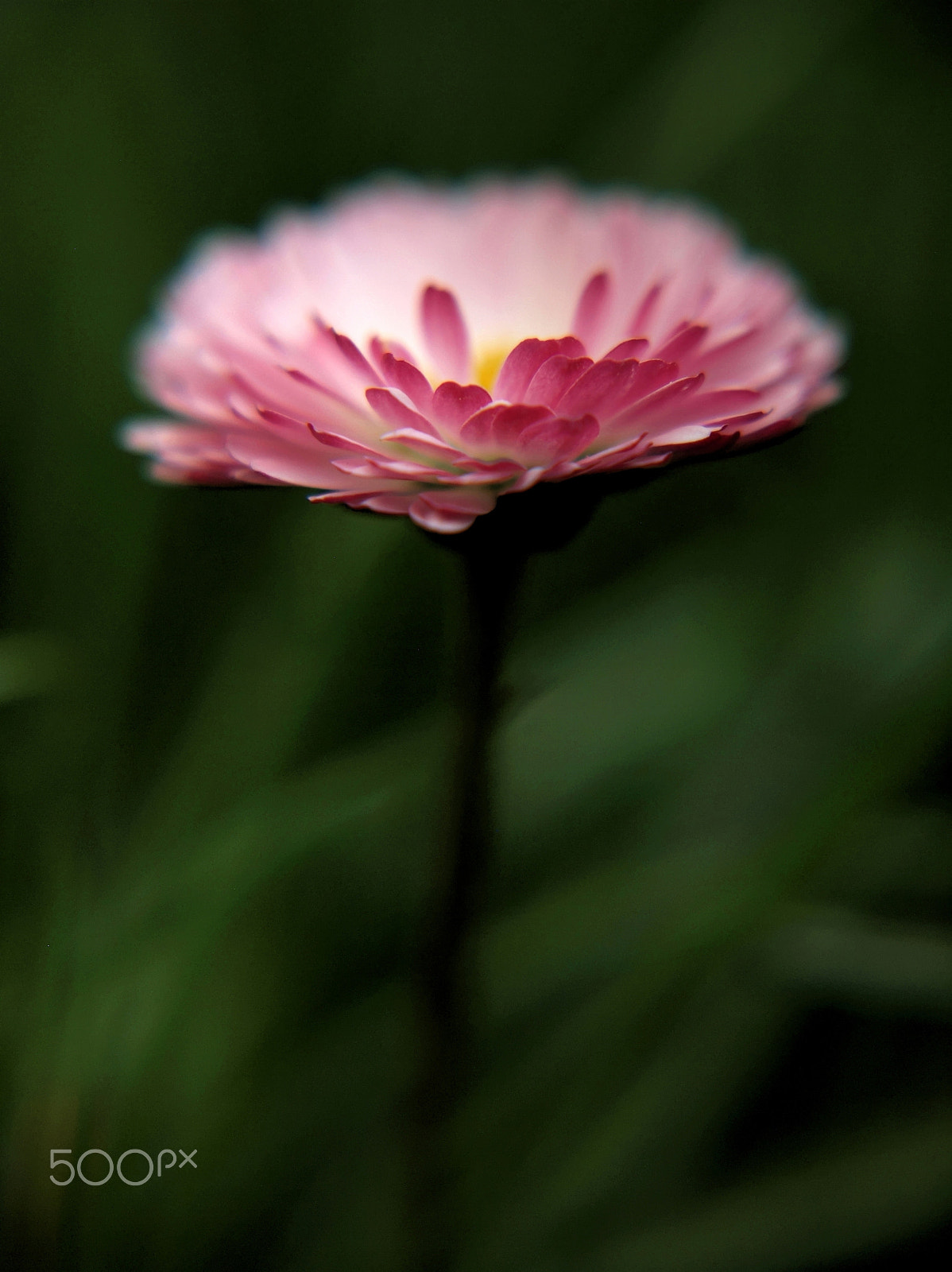 Olympus E-620 (EVOLT E-620) sample photo. #96 photography