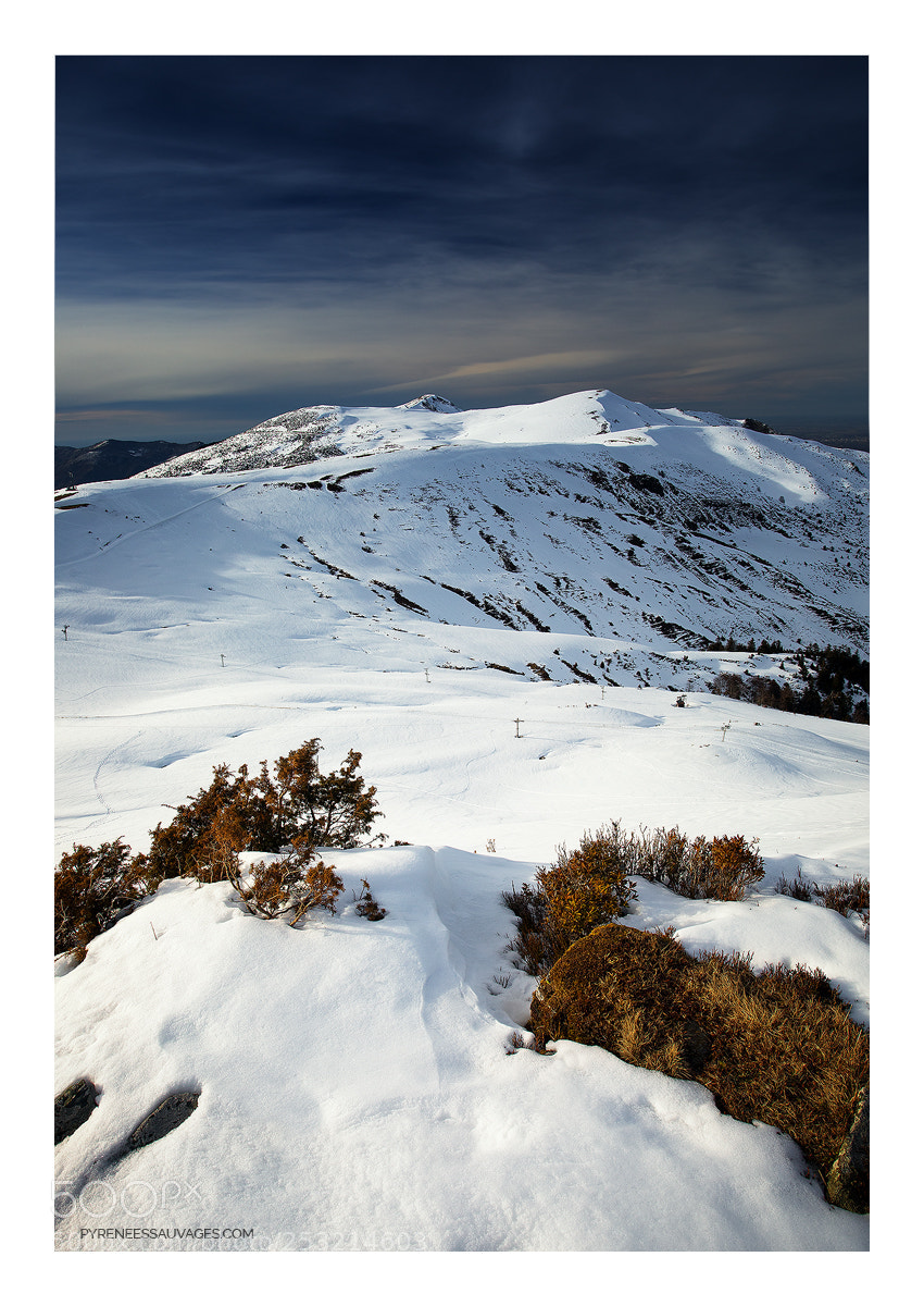 Canon EOS 5D Mark IV sample photo. Last snow photography