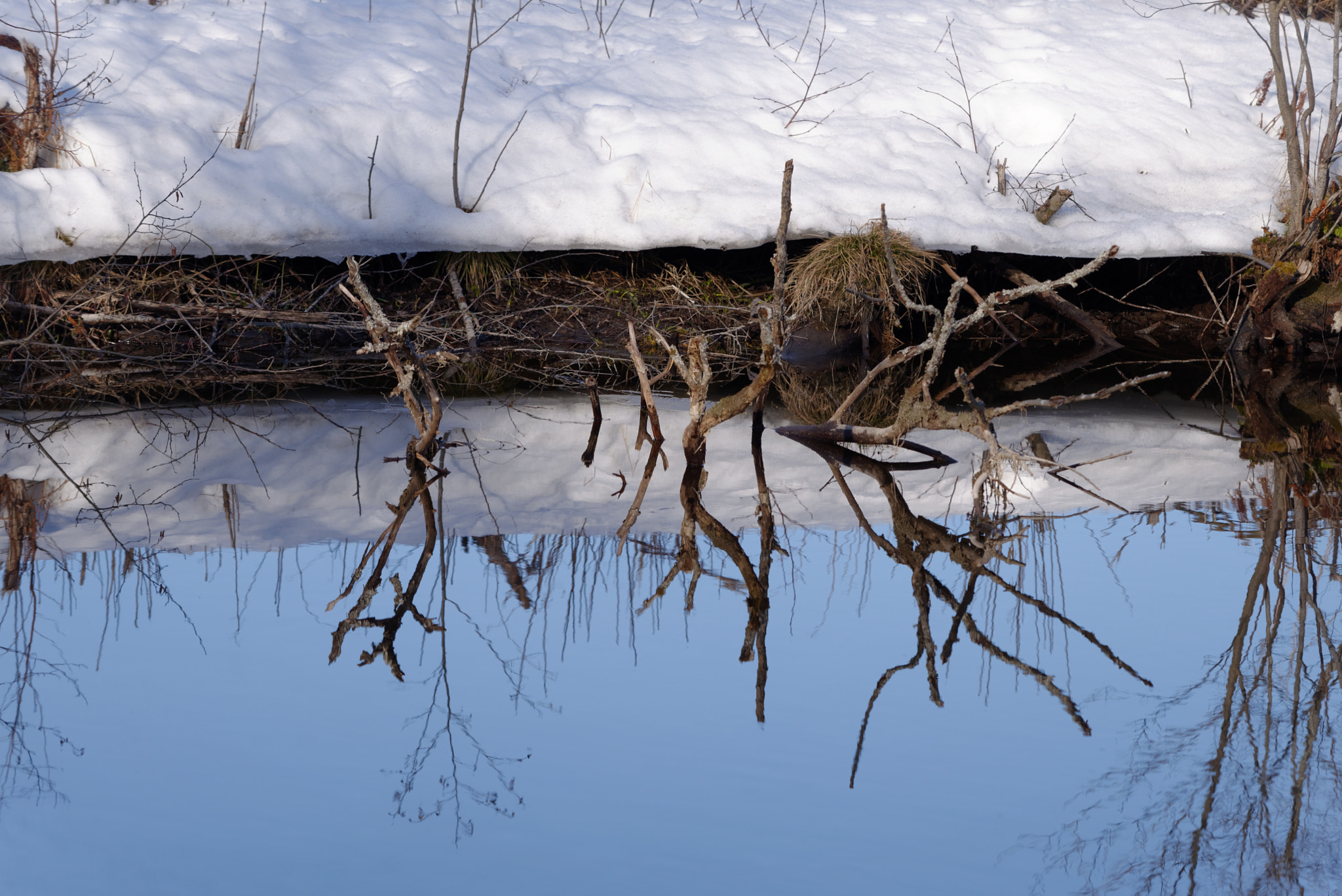 Nikon AF-S Nikkor 70-200mm F4G ED VR sample photo. Branches photography