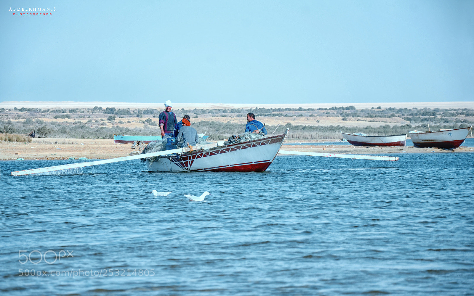 Nikon D7000 sample photo. Elfayoum photography