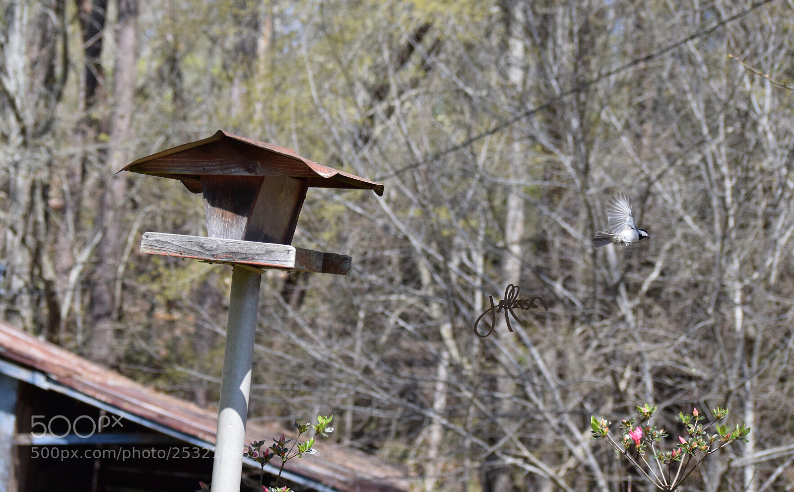 Nikon D3300 sample photo. Flight photography