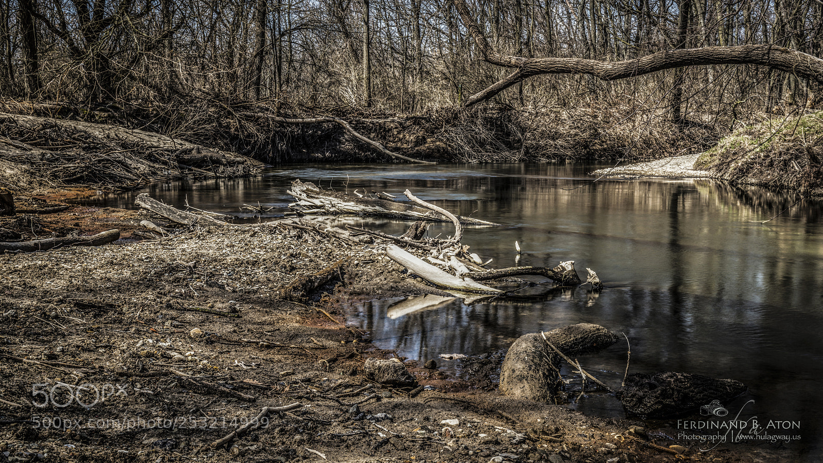 Nikon D800 sample photo. Deep river county park photography