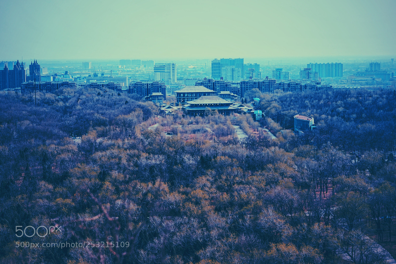 Sony a7 sample photo. Untitled photography