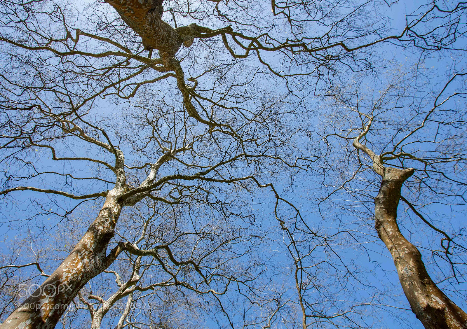 Canon EOS 700D (EOS Rebel T5i / EOS Kiss X7i) sample photo. New perspective photography