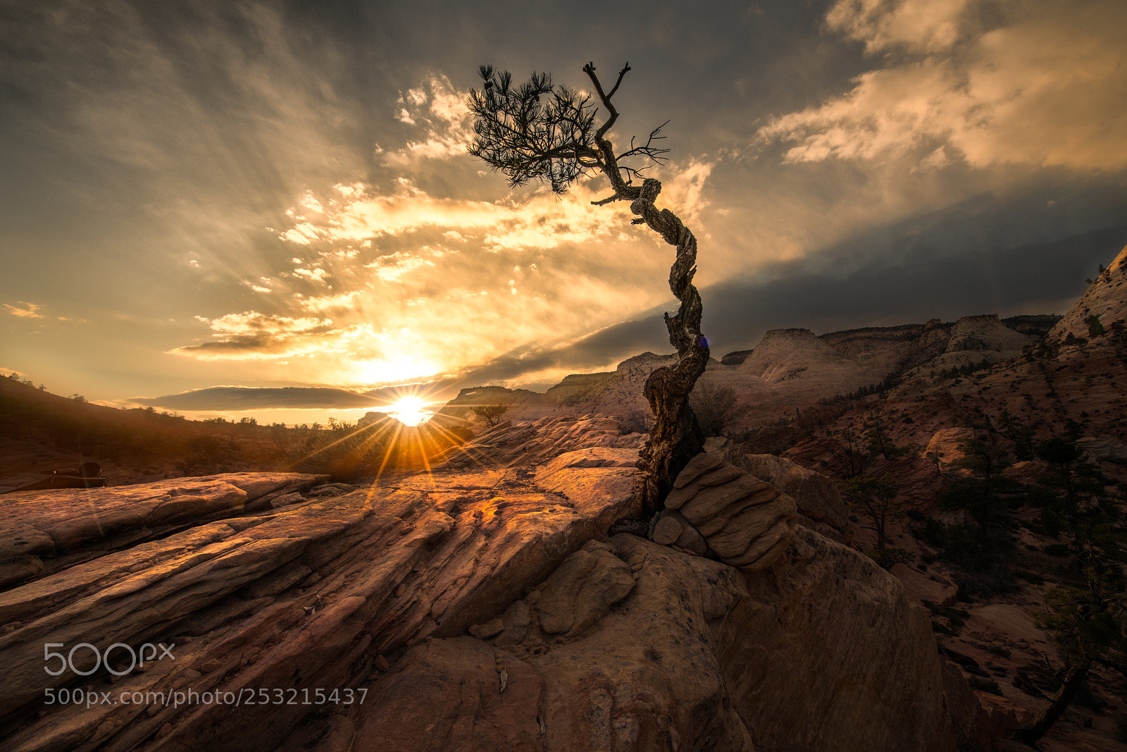 Nikon D850 sample photo. Zion's reach photography