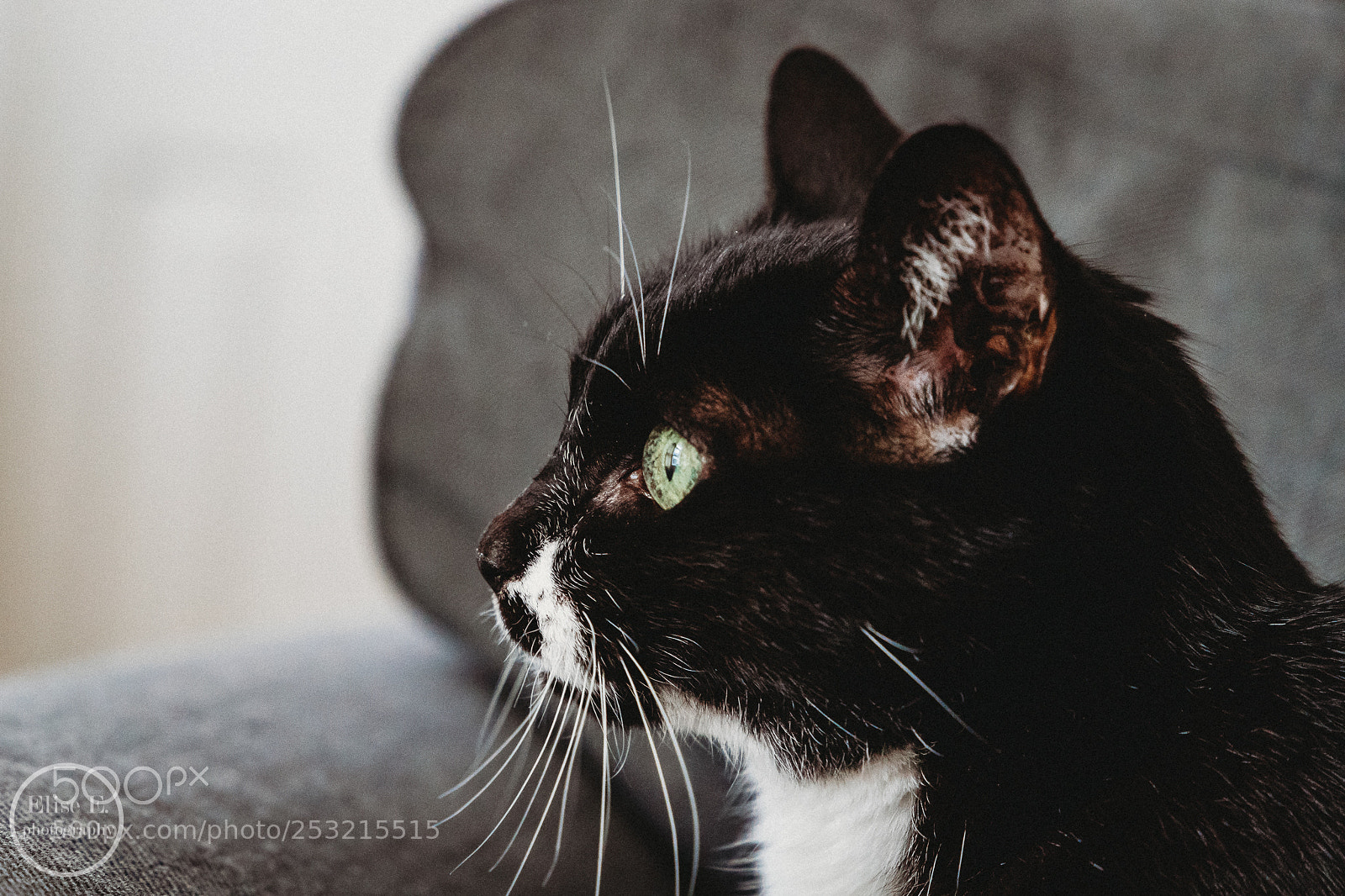 Canon EOS 6D Mark II sample photo. My sweet girl. she's photography