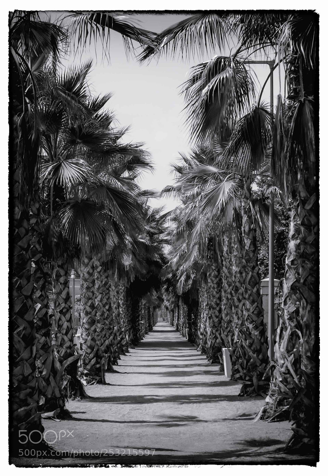 Sony SLT-A58 sample photo. Old greetings from malaga photography