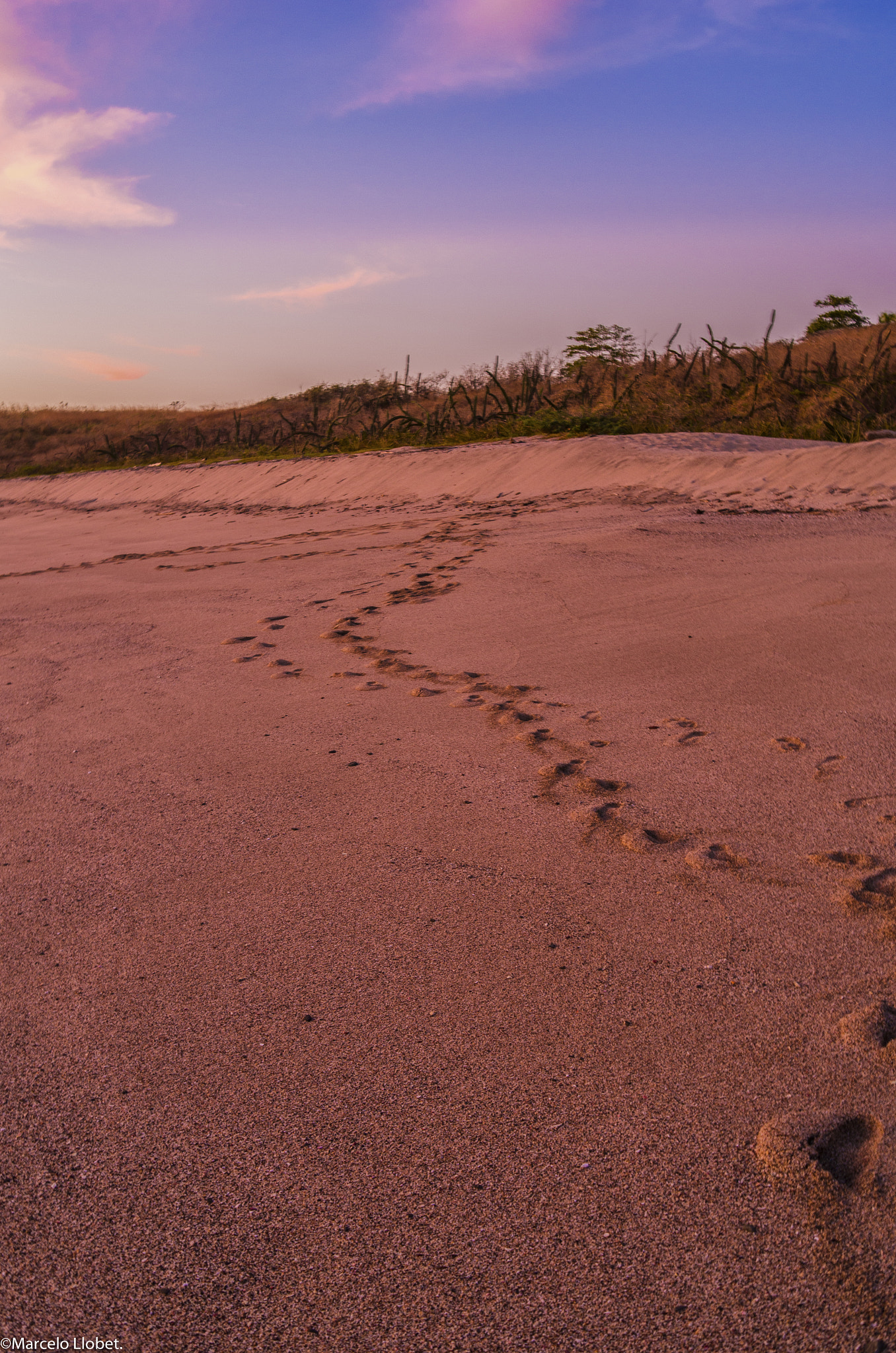 Leica X2 sample photo. A costa rican beach photography