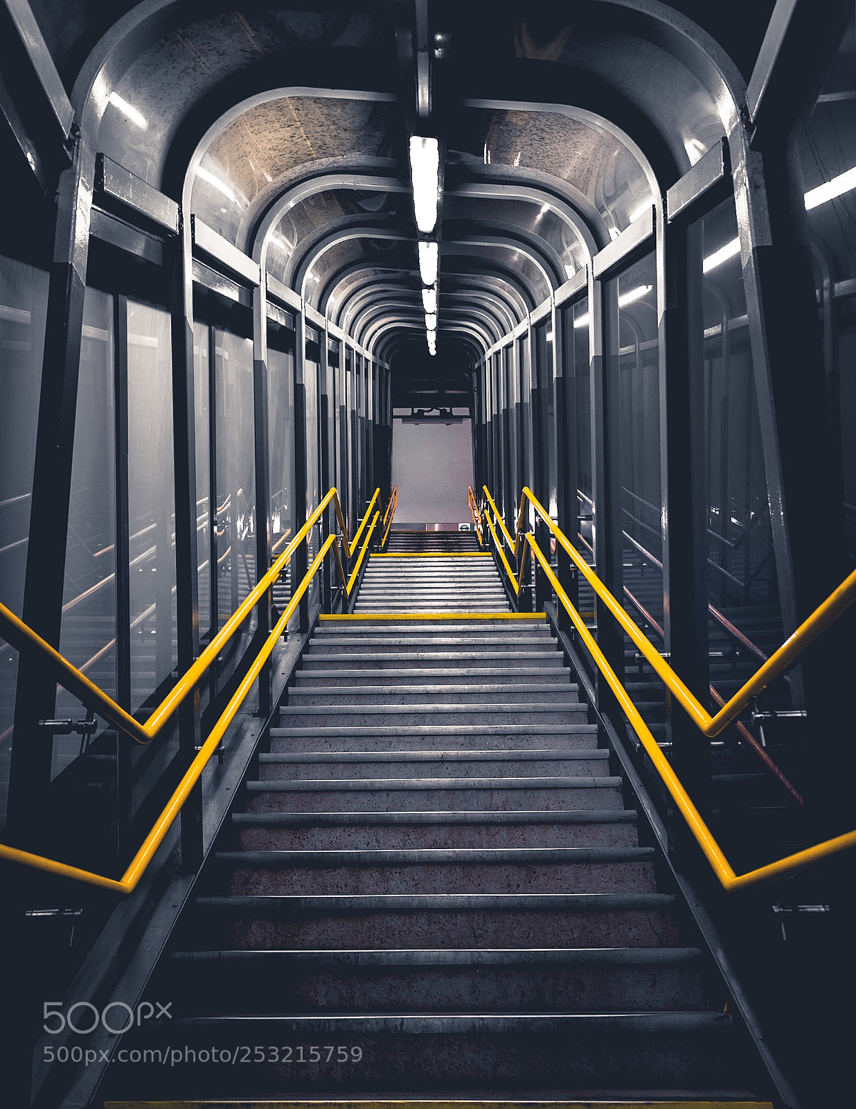 Nikon D5300 sample photo. Stair walking photography