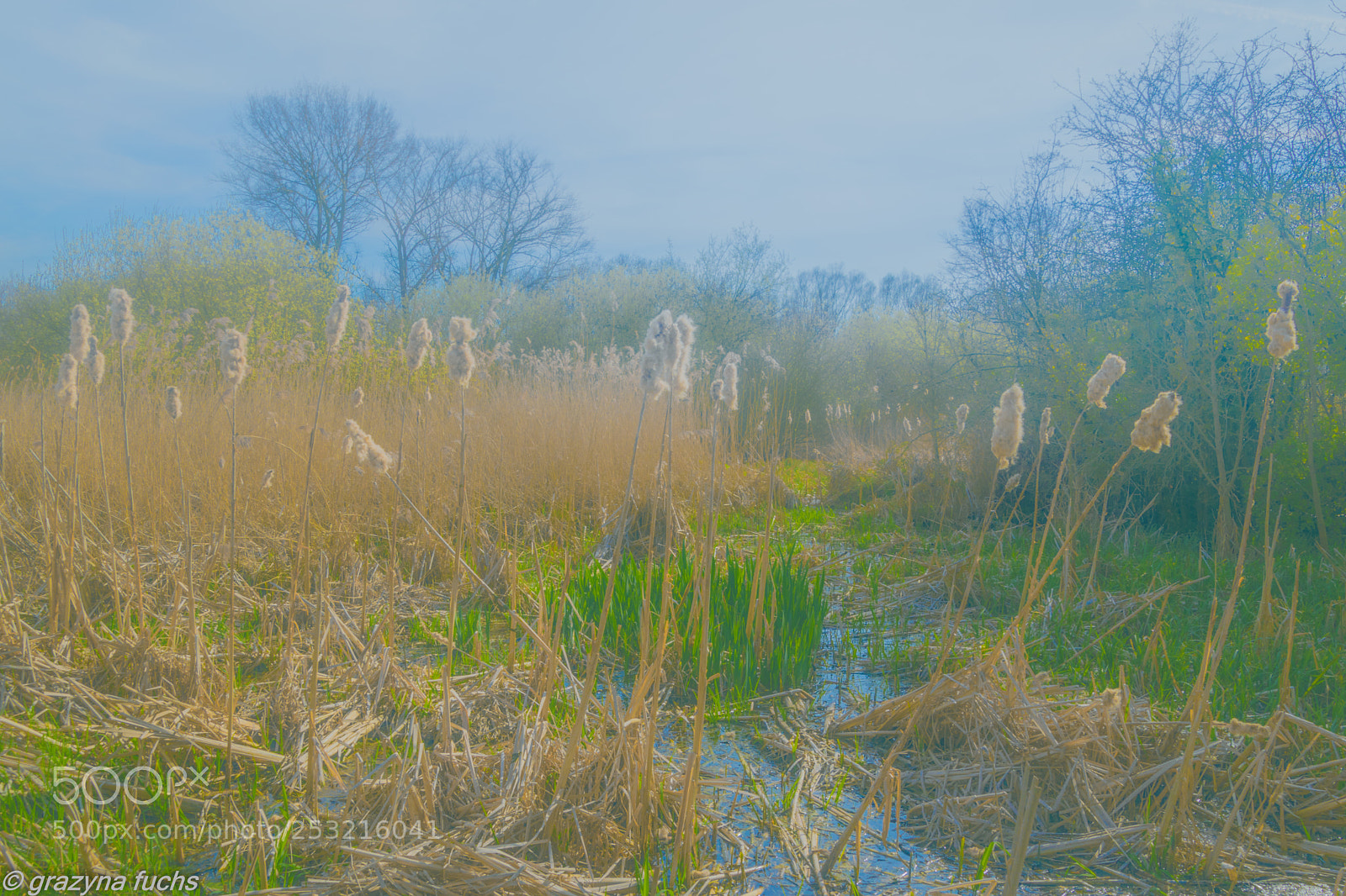 Nikon D3300 sample photo. Make visible photography