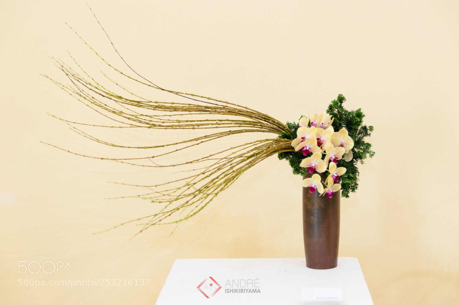 Canon EOS 80D sample photo. Ikebana photography
