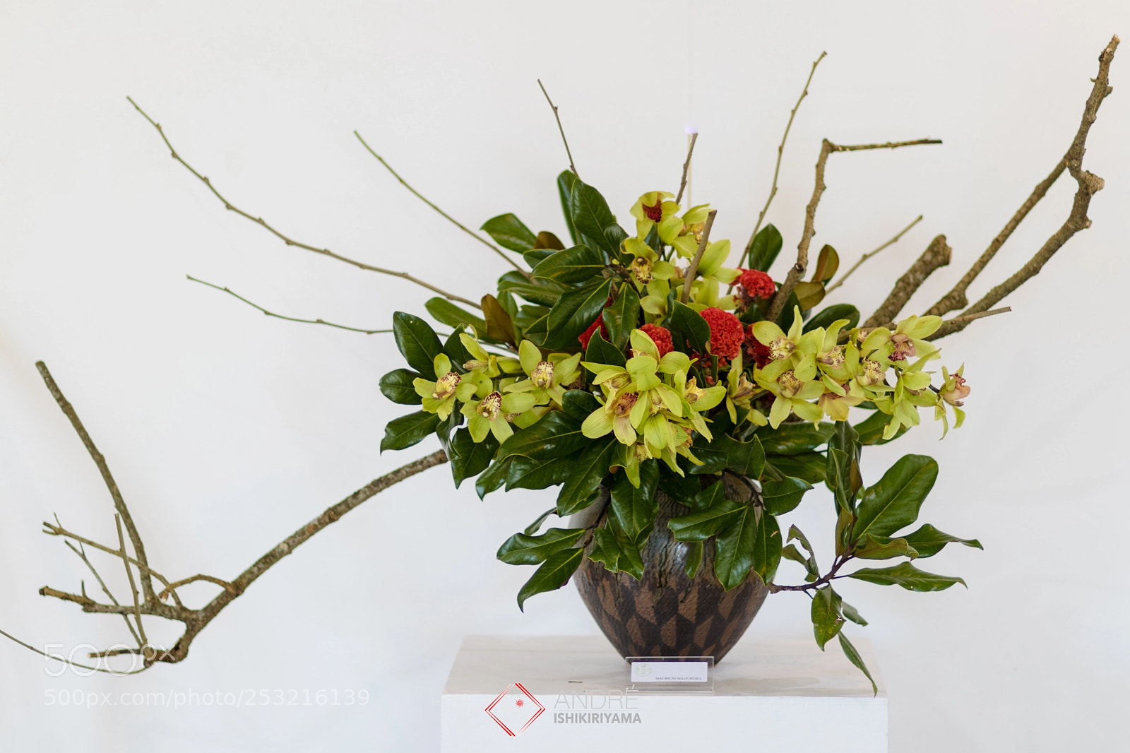 Canon EOS 80D sample photo. Ikebana photography