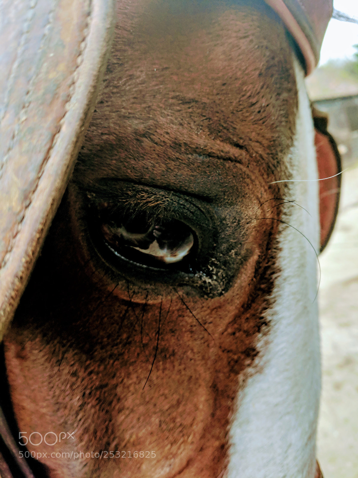 Google Pixel sample photo. Untitled photography