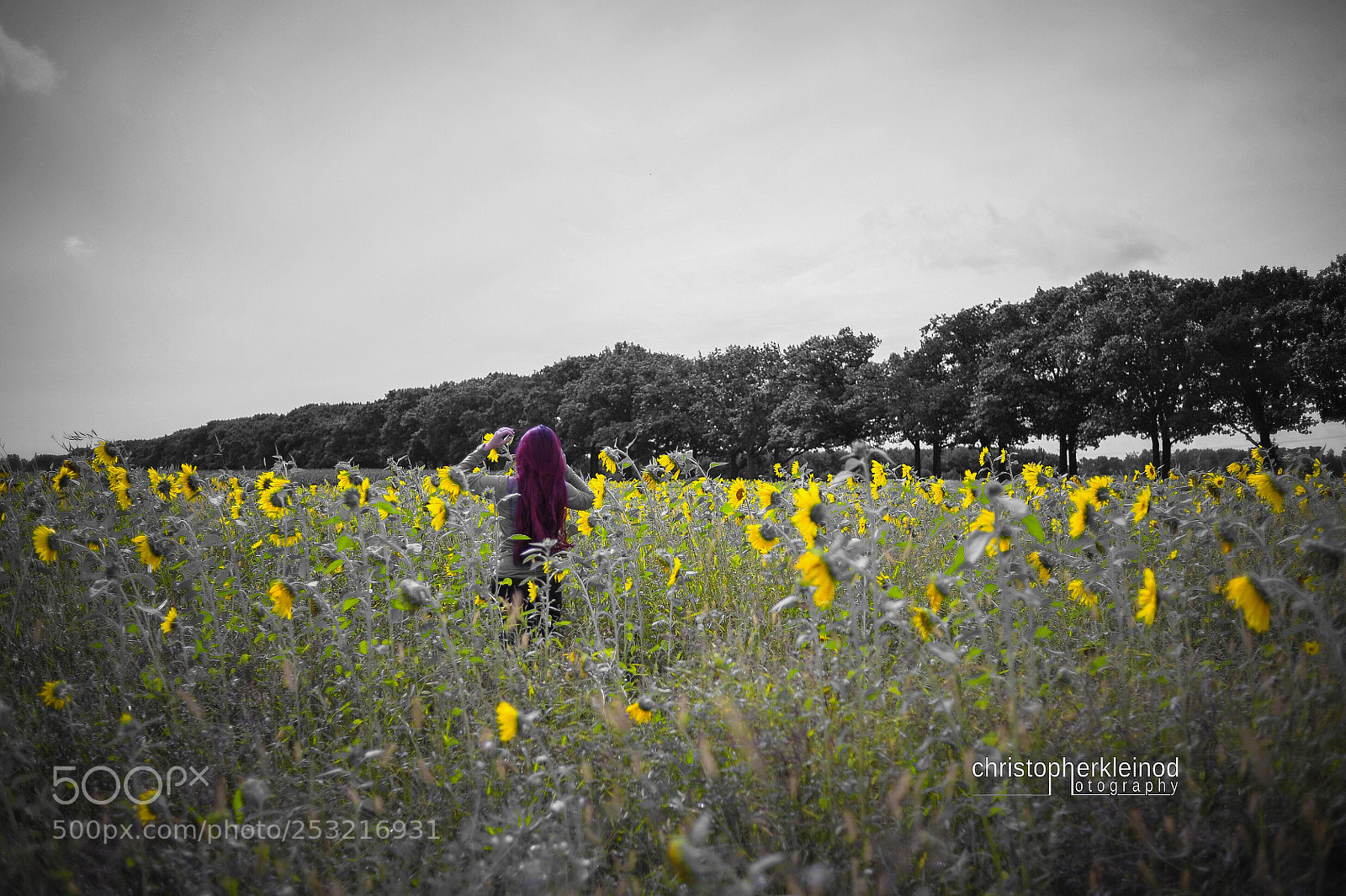 Nikon D700 sample photo. Sonnenblumenkleid photography