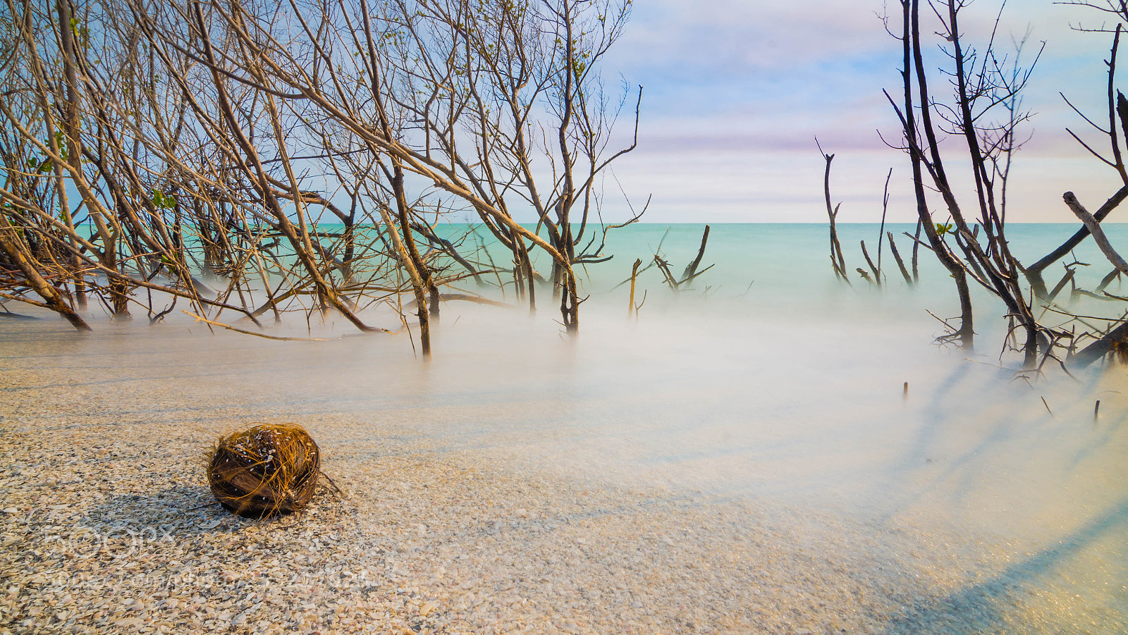 Nikon D7000 sample photo. Relaxing photography