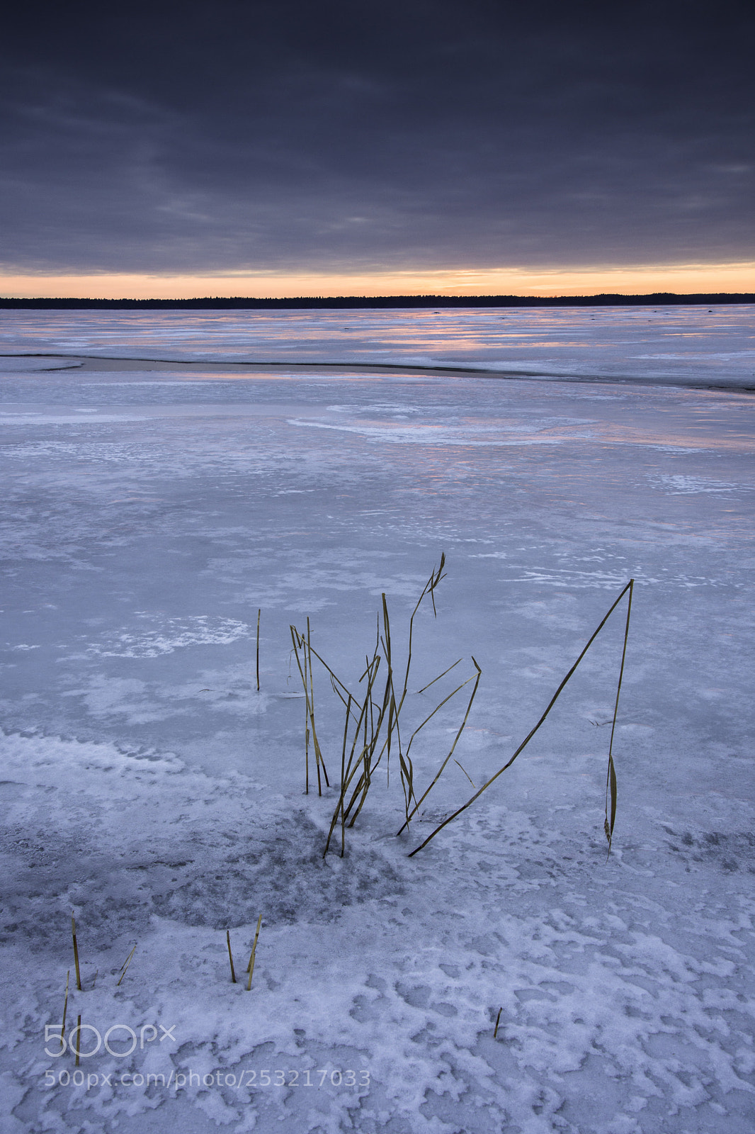 Nikon D7200 sample photo. Sunset. photography