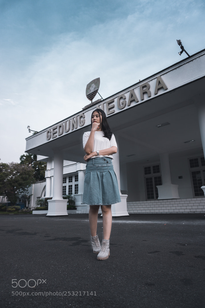 Sony a6000 sample photo. Gedung negara ?? photography