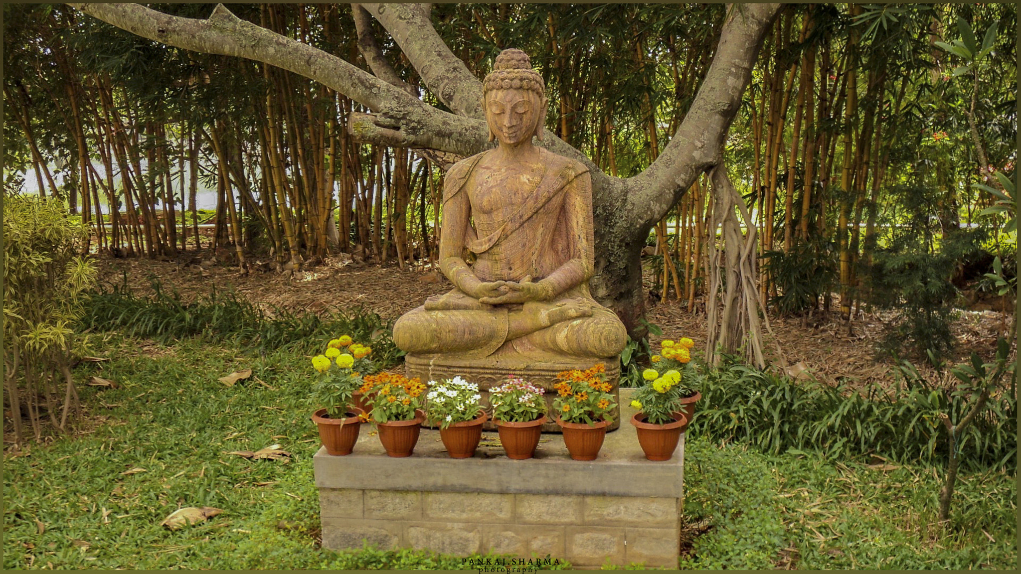 Sony DSC-S1900 sample photo. Budha... photography