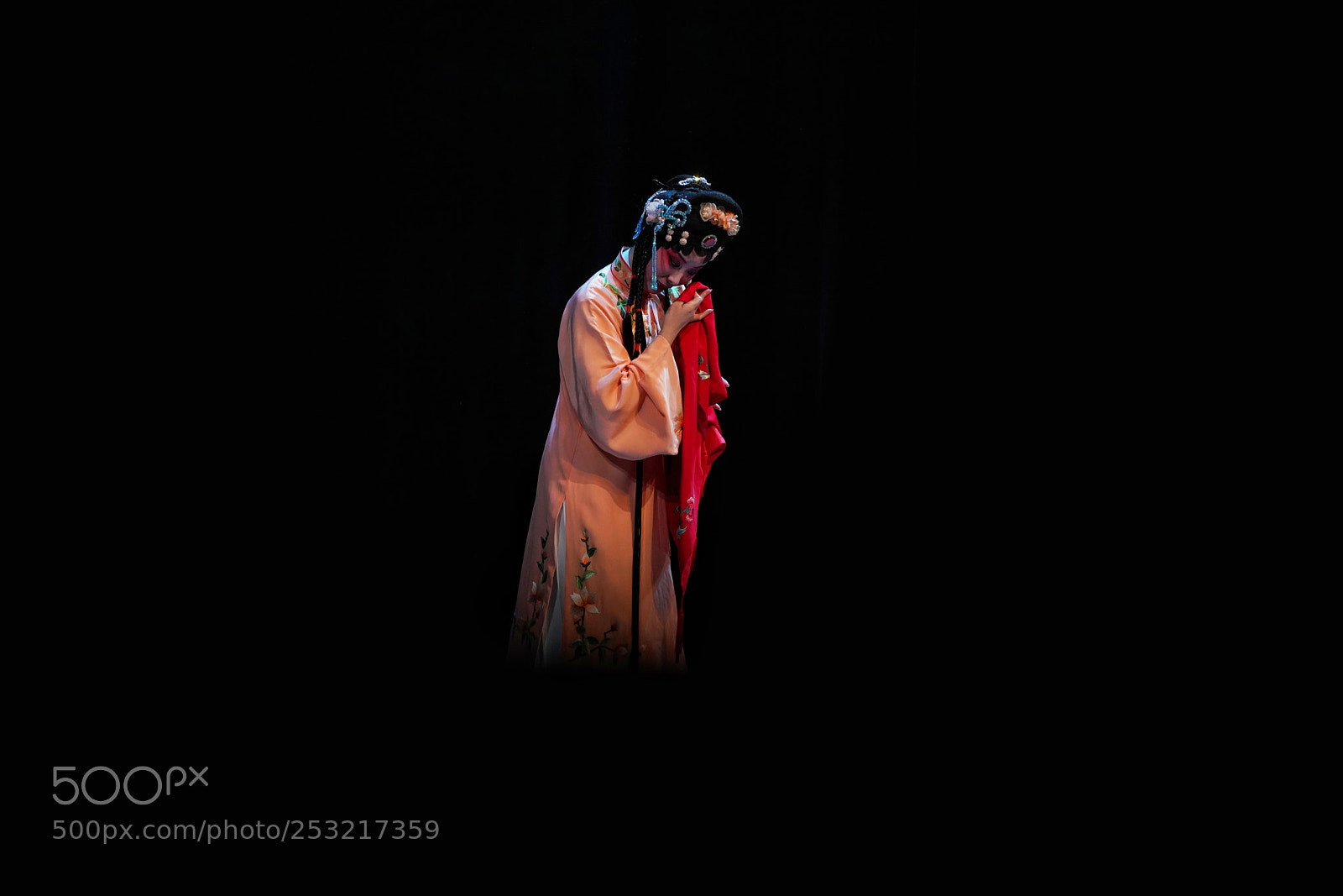 Sony a7R III sample photo. The amorous pan photography