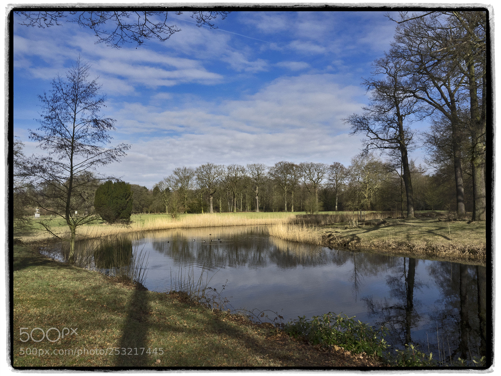 Olympus OM-D E-M1 sample photo. Pond in park vordenstein photography