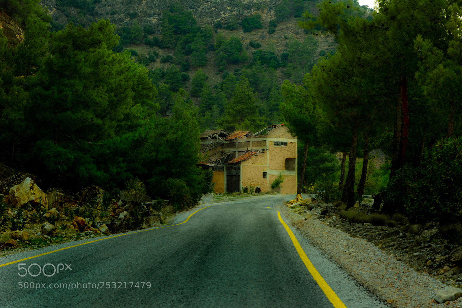 Nikon D7100 sample photo. Dirt road photography