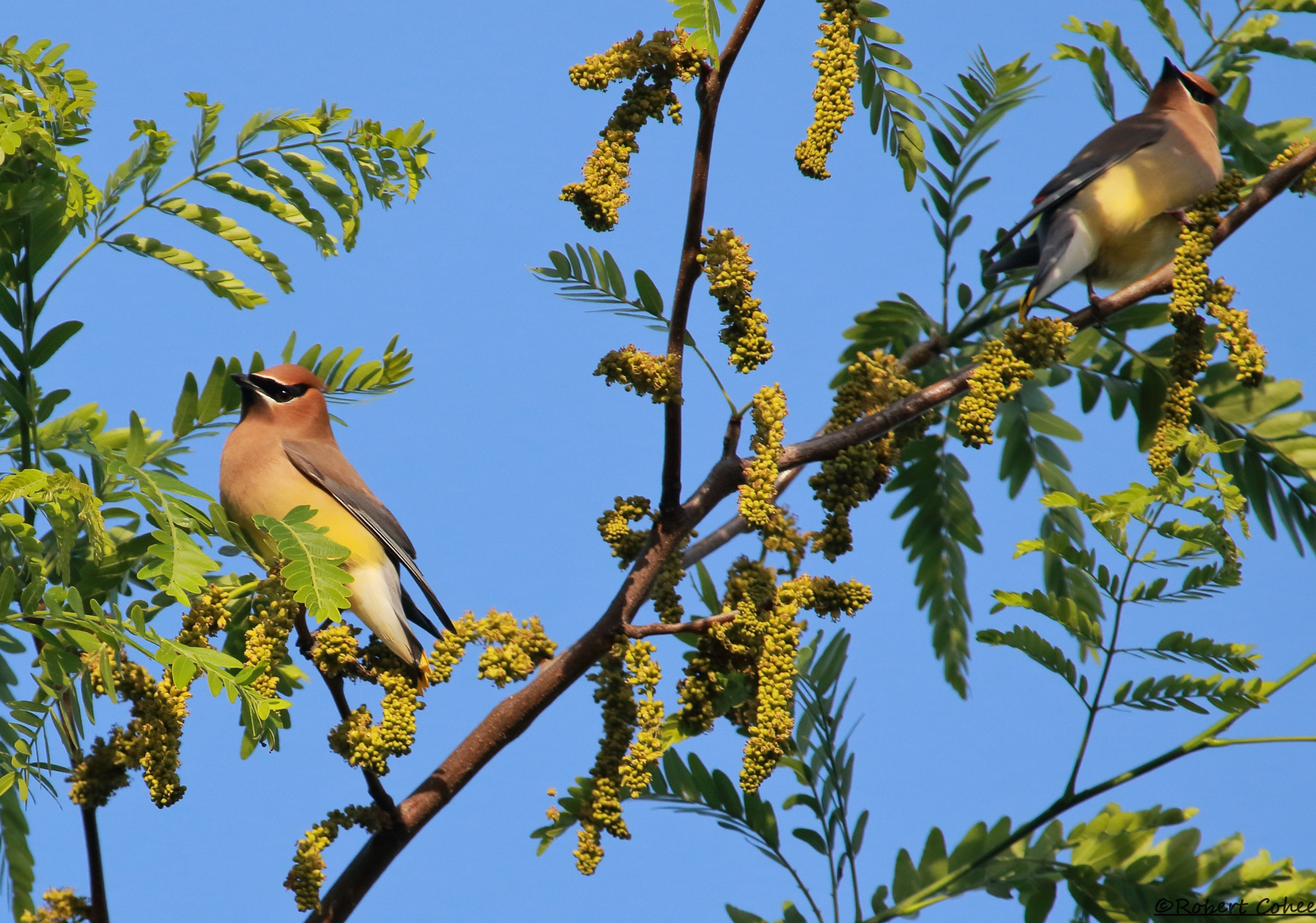 Canon EOS 7D Mark II + Canon EF 100-400mm F4.5-5.6L IS USM sample photo. Ita photography