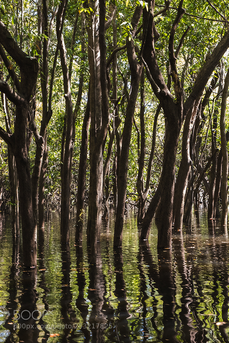 Fujifilm X-T2 sample photo. Flooded photography
