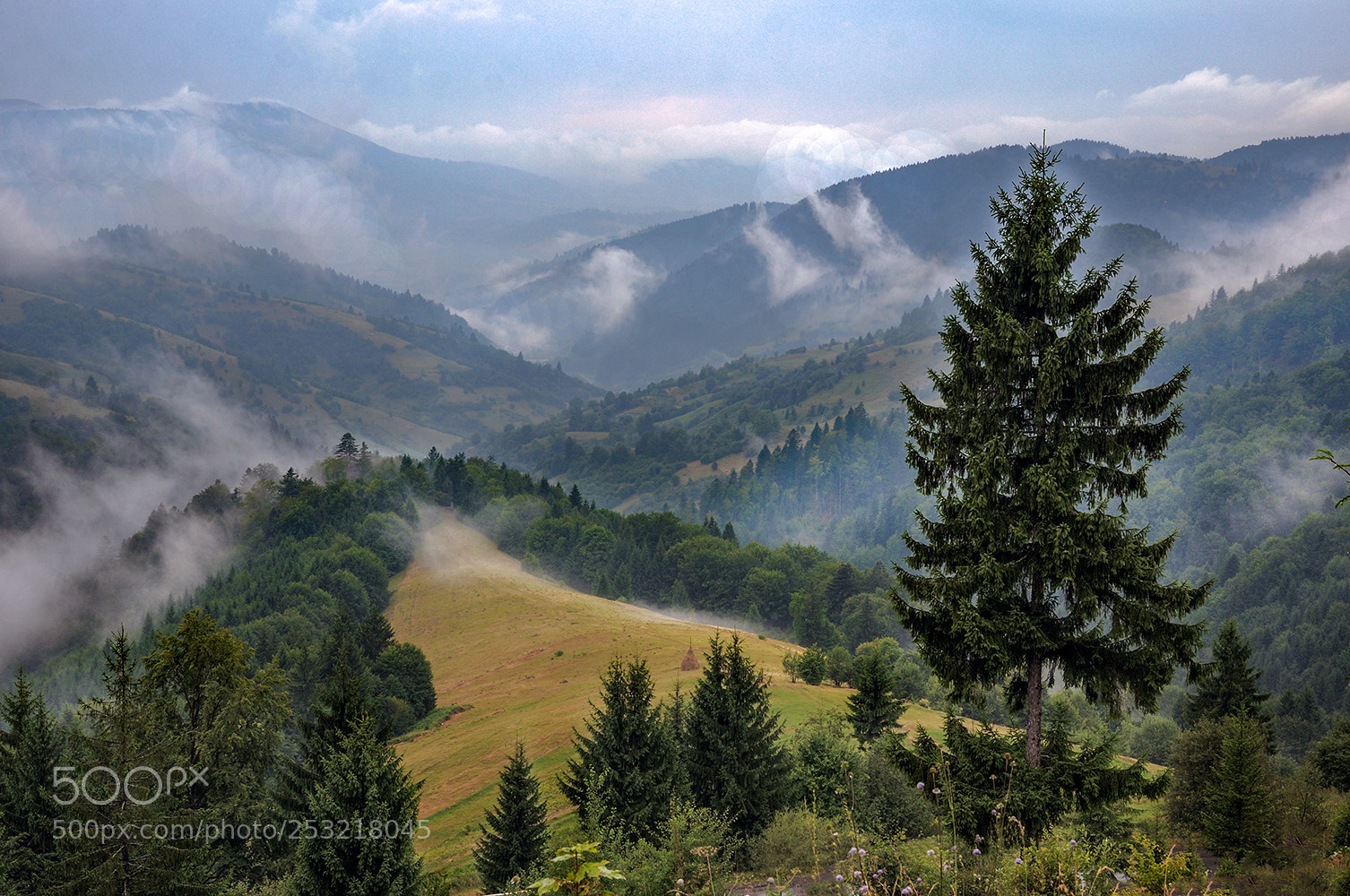 Nikon D90 sample photo. краєвид photography